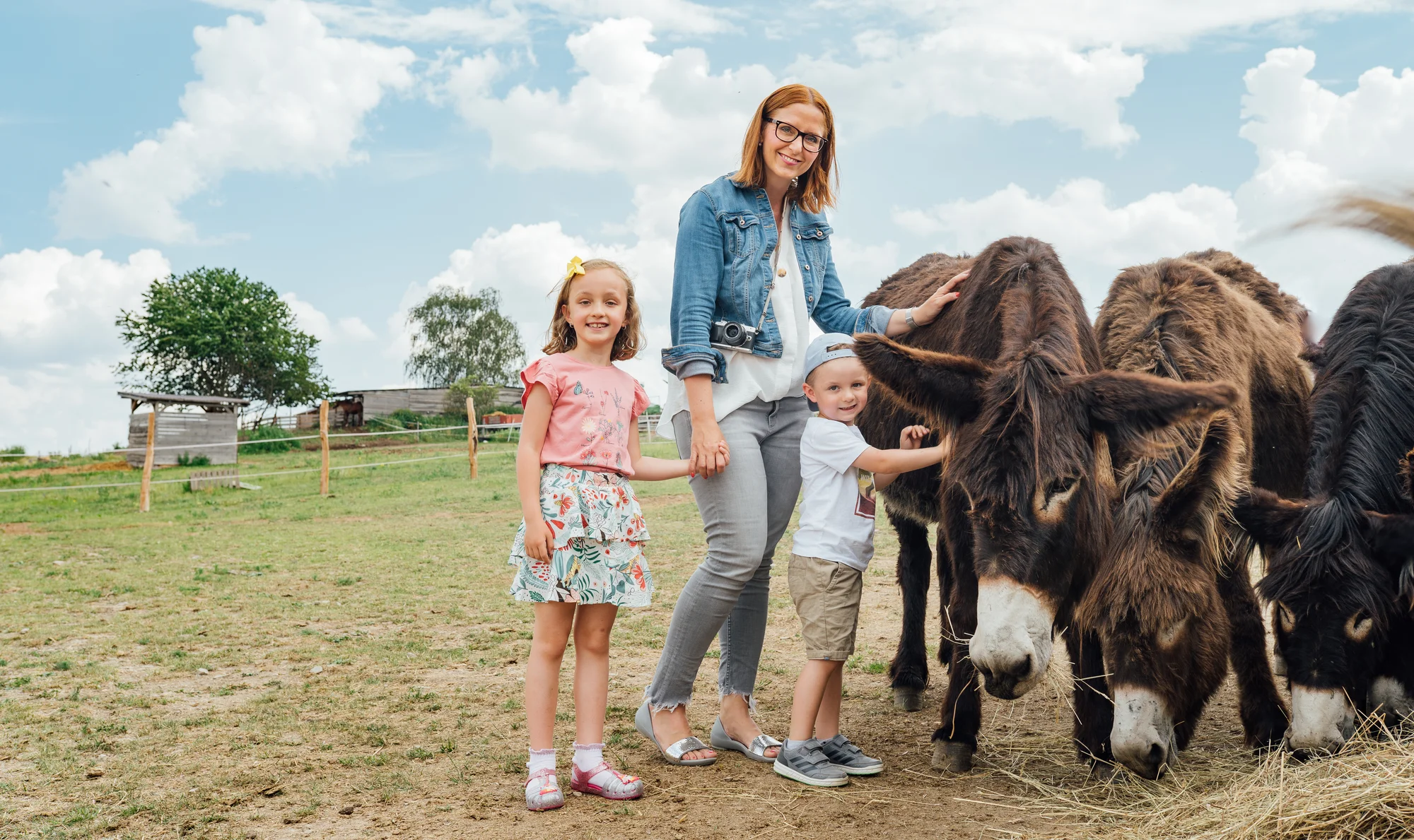 Rodinná návštěva Oslí stezky: prohlídka farmy, trail park a svezení pro děti i túra s piknikem