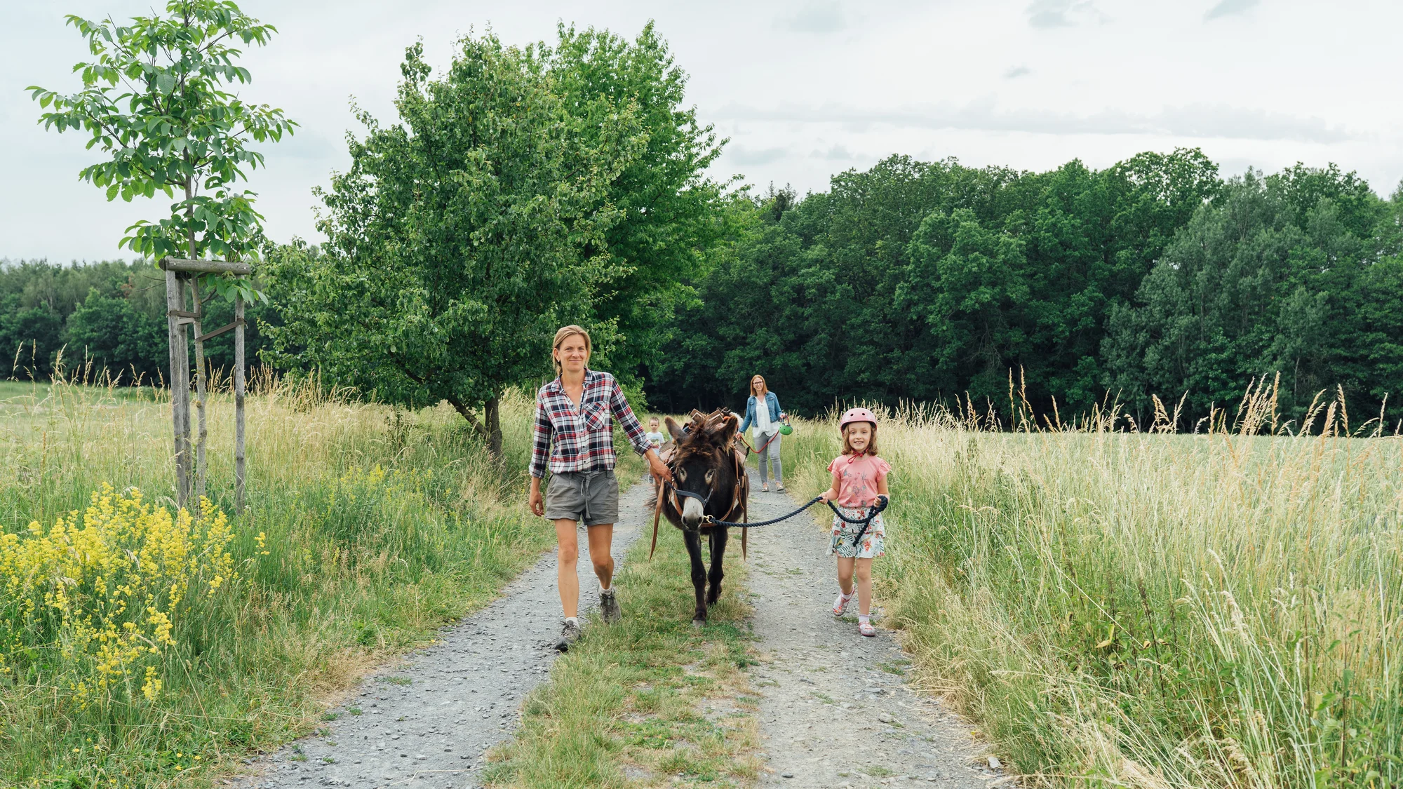 Rodinná návštěva Oslí stezky: prohlídka farmy, trail park a svezení pro děti i túra s piknikem