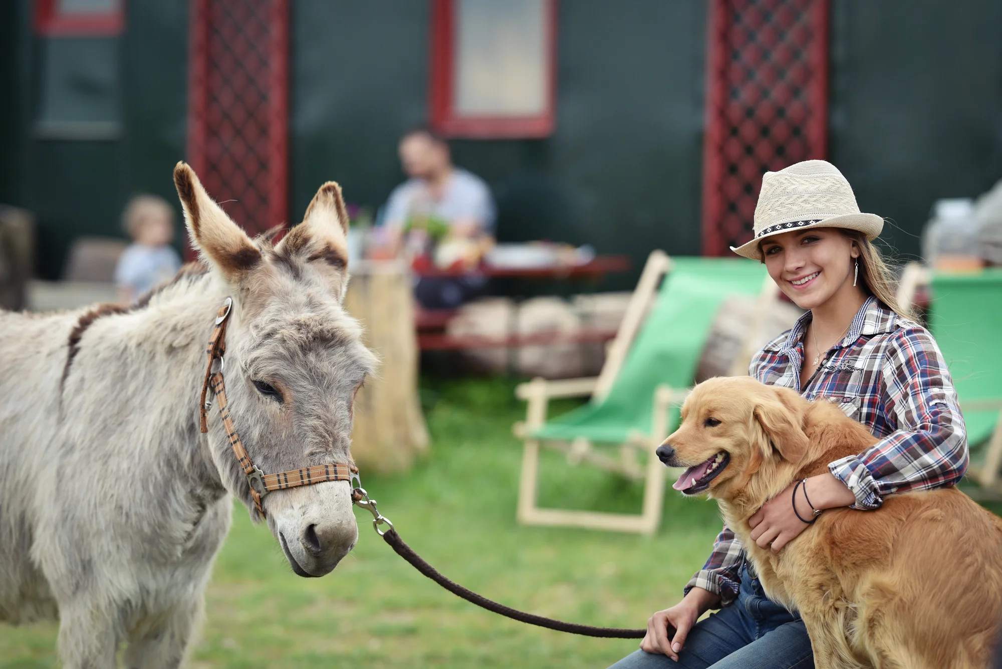 Rodinná návštěva Oslí stezky: prohlídka farmy, trail park a svezení pro děti i túra s piknikem
