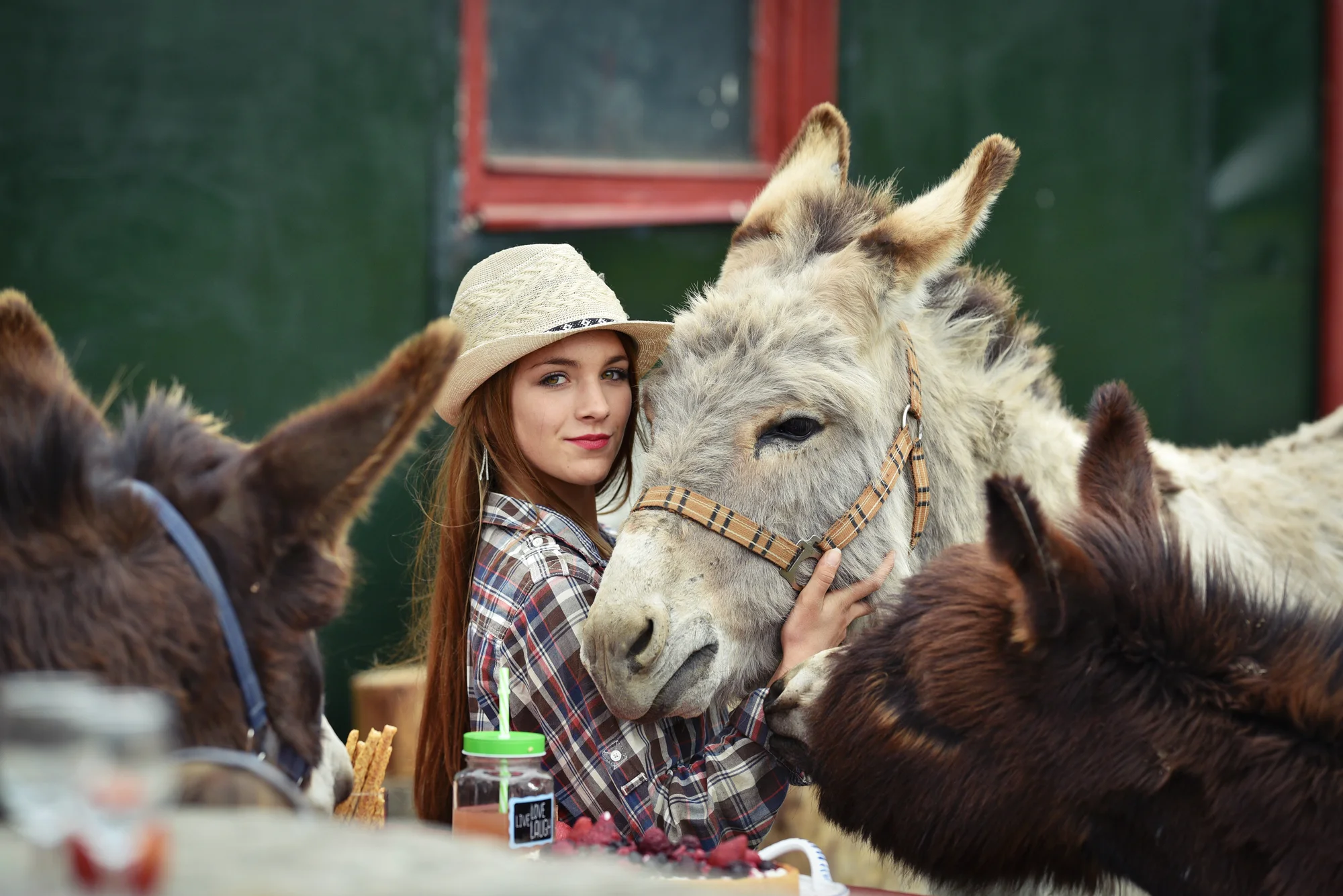 Rodinná návštěva Oslí stezky: prohlídka farmy, trail park a svezení pro děti i túra s piknikem