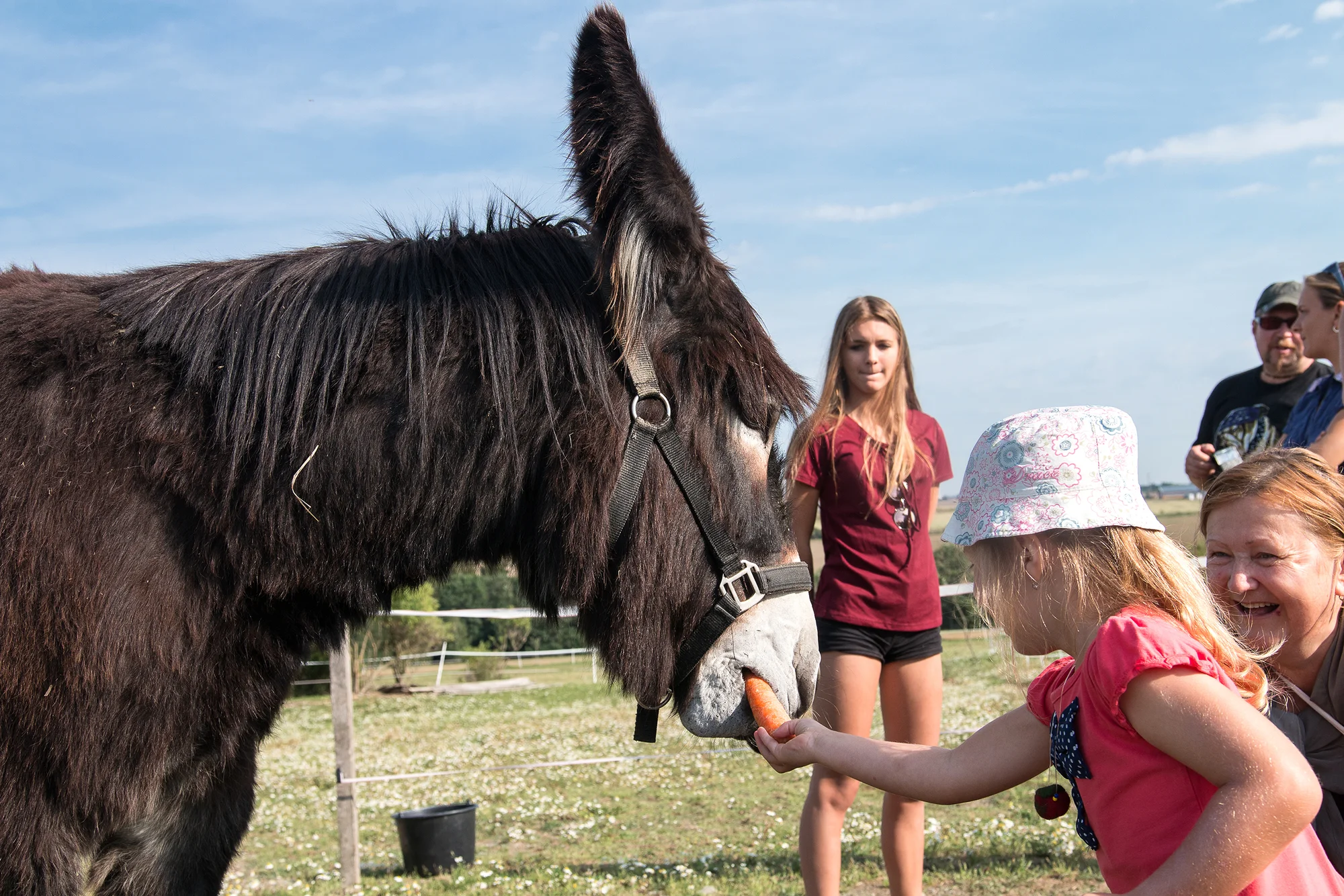 Rodinná návštěva Oslí stezky: prohlídka farmy, trail park a svezení pro děti i túra s piknikem