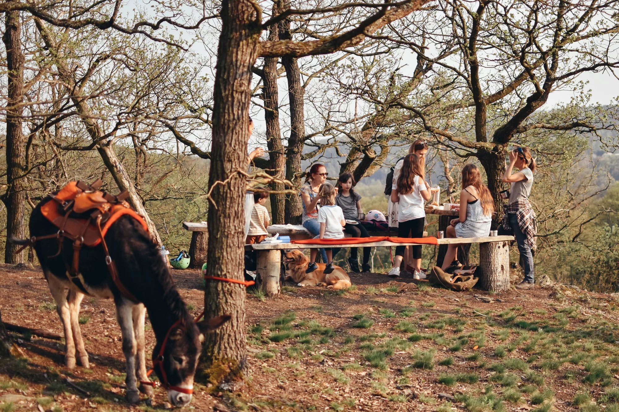 Rodinná návštěva Oslí stezky: prohlídka farmy, trail park a svezení pro děti i túra s piknikem