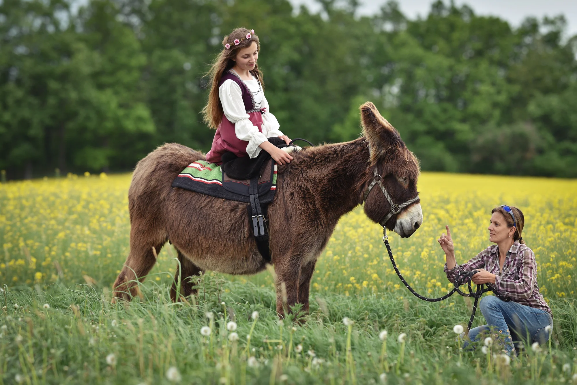 Rodinná návštěva Oslí stezky: prohlídka farmy, trail park a svezení pro děti i túra s piknikem