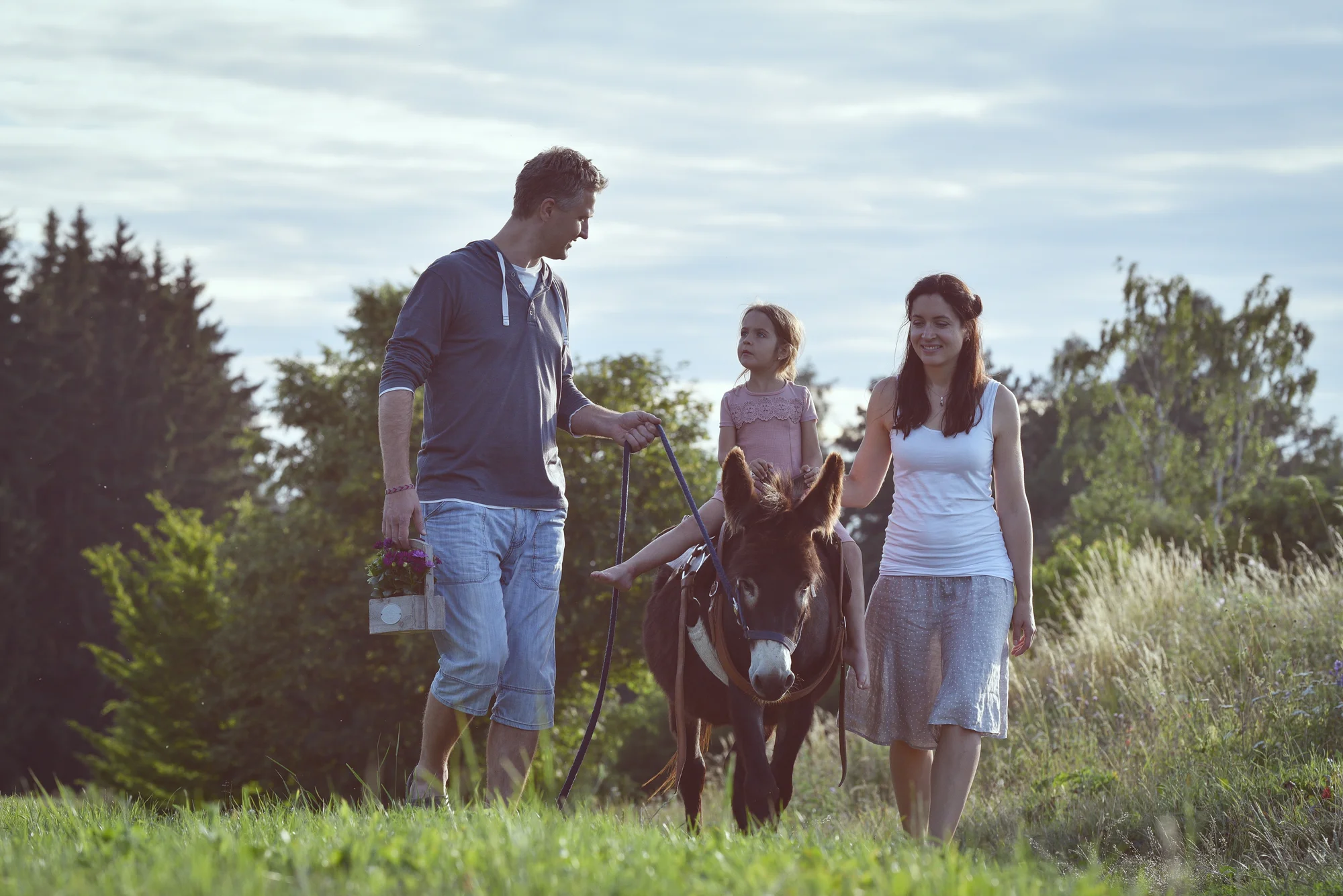Rodinná návštěva Oslí stezky: prohlídka farmy, trail park a svezení pro děti i túra s piknikem