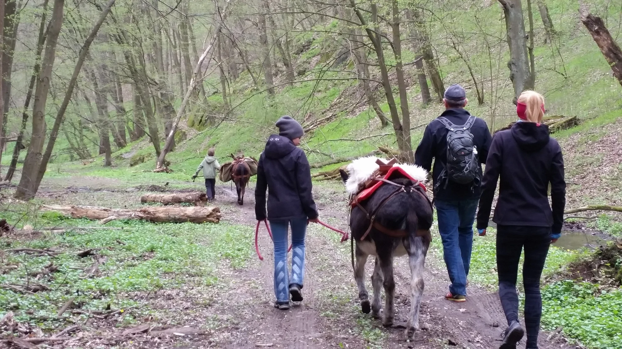 Rodinná návštěva Oslí stezky: prohlídka farmy, trail park a svezení pro děti i túra s piknikem