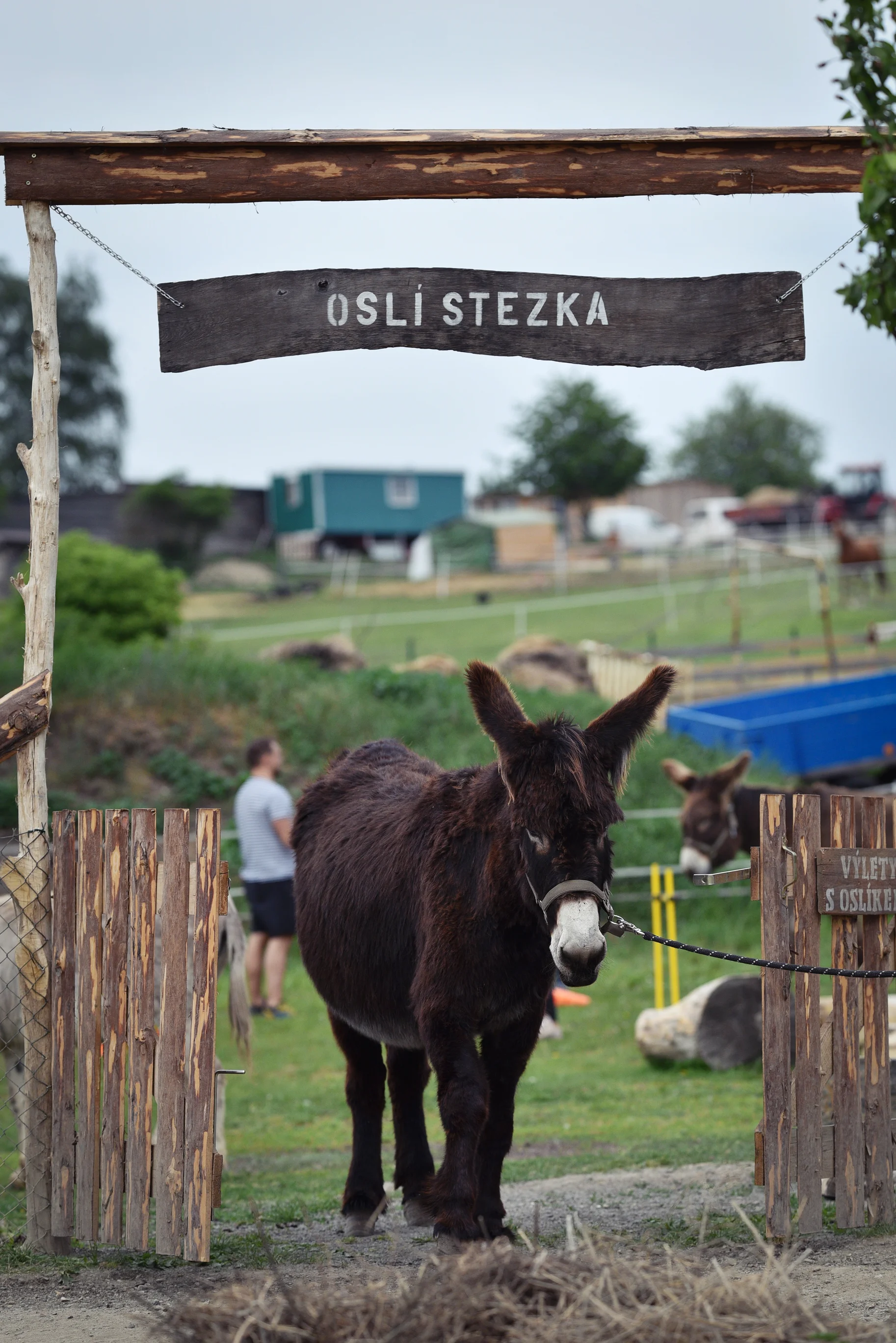 Rodinná návštěva Oslí stezky: prohlídka farmy, trail park a svezení pro děti i túra s piknikem