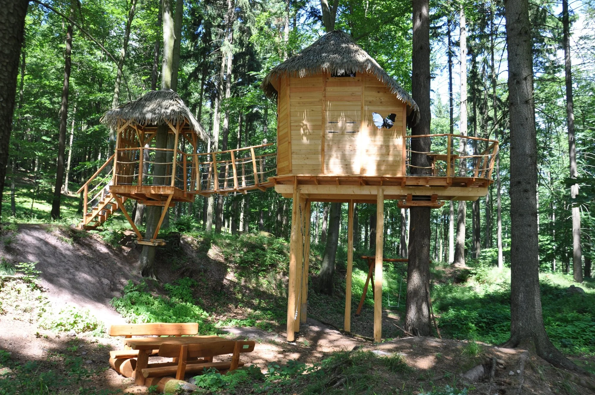 Klid a propojení s přírodou na Sojčím hnízdě: pobyt na vyhlídkovém posedu v lesích u Brna