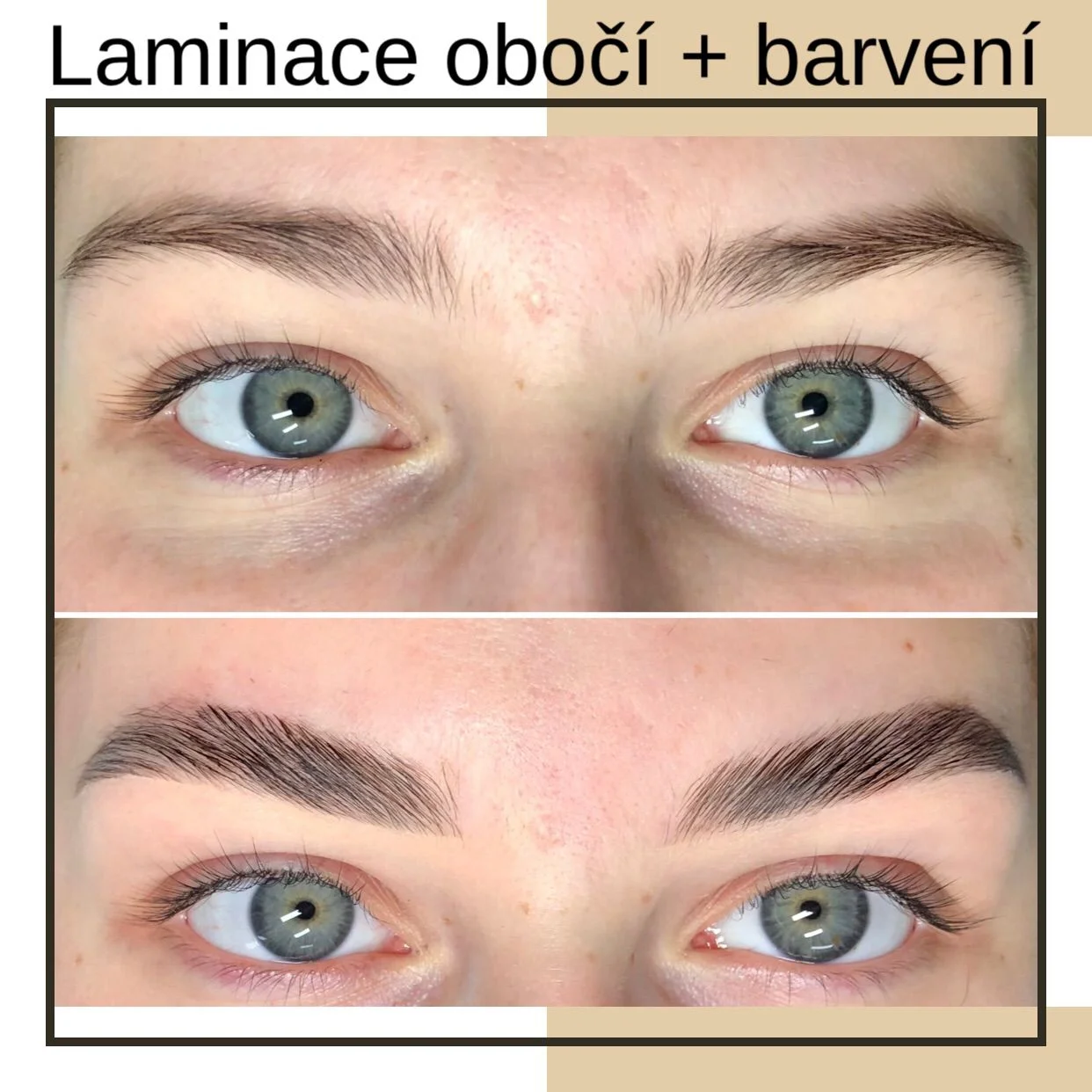 Úprava obočí, lash lifting nebo laminace obočí vč. barvení