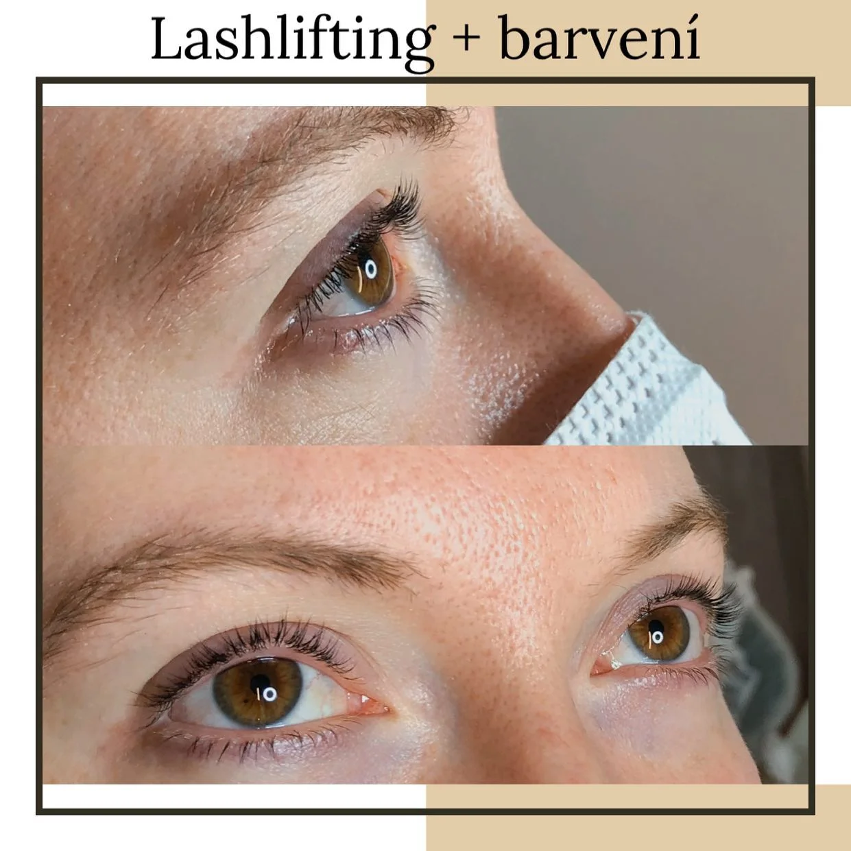 Úprava obočí, lash lifting nebo laminace obočí vč. barvení