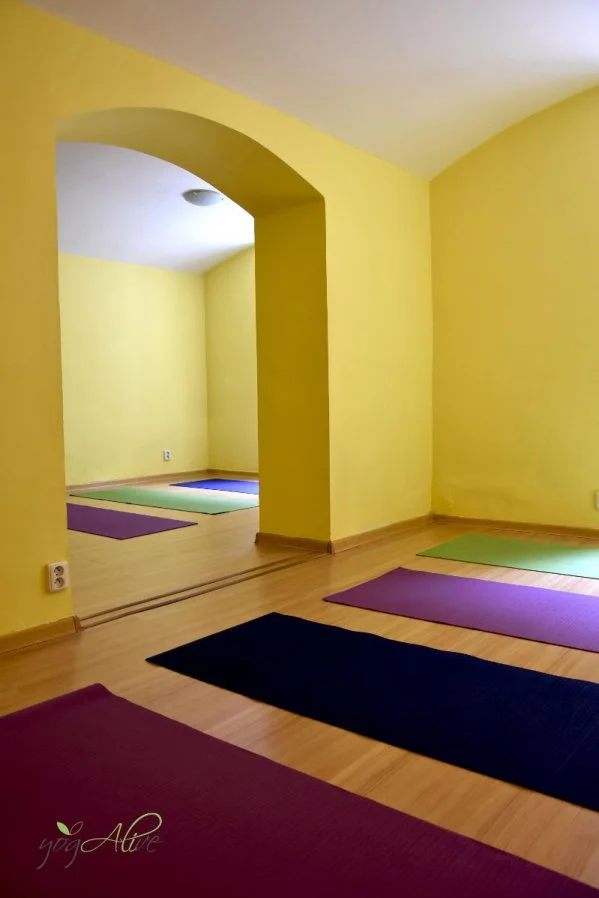 Pro zdraví těla i duše: 1–5 lekcí večerní jógy nebo pilates dle výběru na Vinohradech