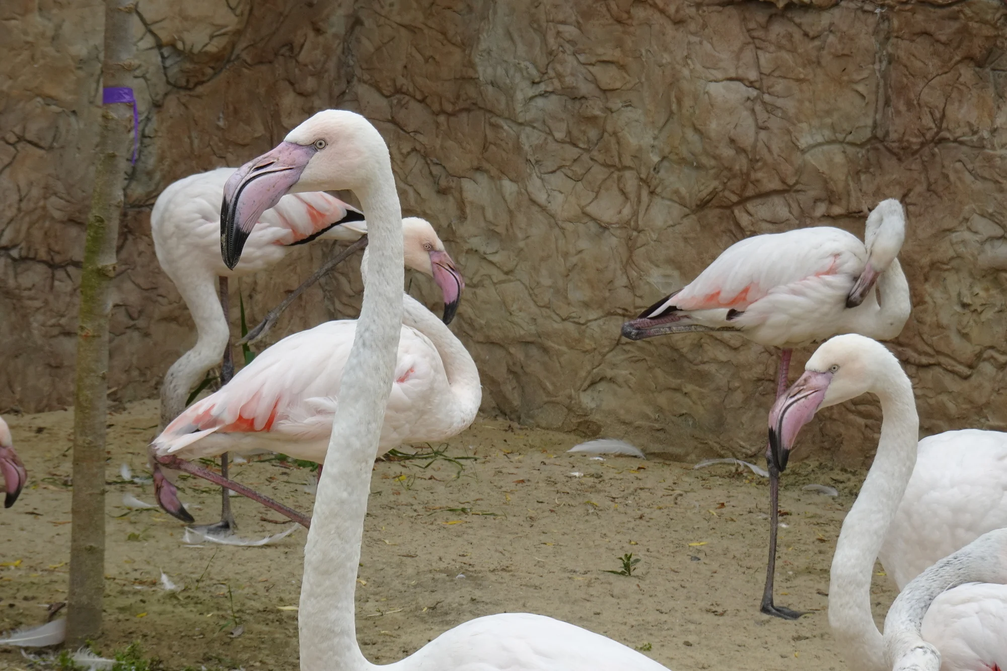 Penzion s vlastním jezírkem: pobyt se snídaní a vstupem do kontaktní zoo