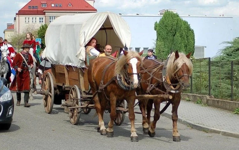 Výlet kousek od Prahy: Rodinná jízda koňským povozem na Křivoklátsku