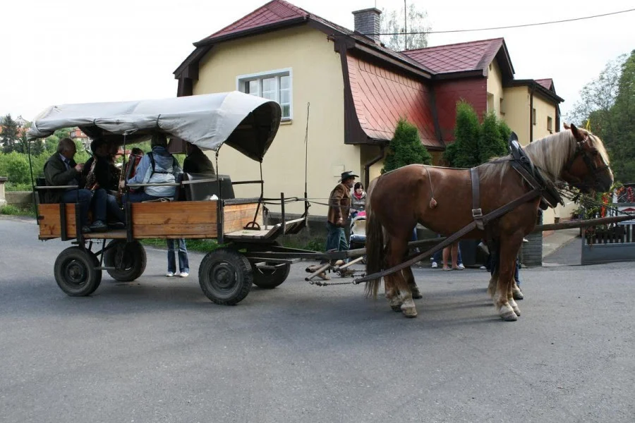 Výlet kousek od Prahy: Rodinná jízda koňským povozem na Křivoklátsku