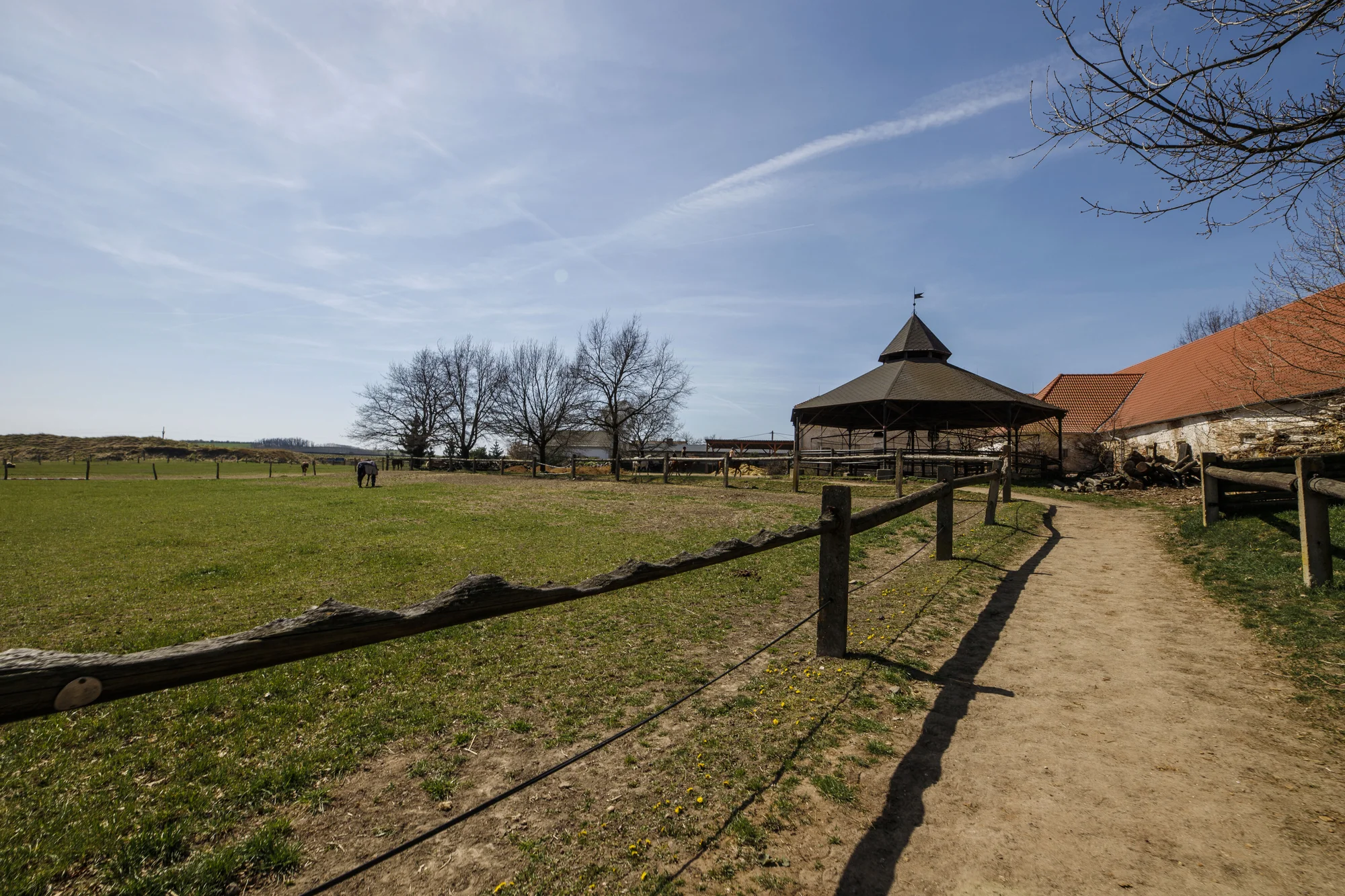 Pobyt na farmě u Znojma: až 15 dní se snídaní či polopenzí i projížďkou v koňském sedle nebo kočáře