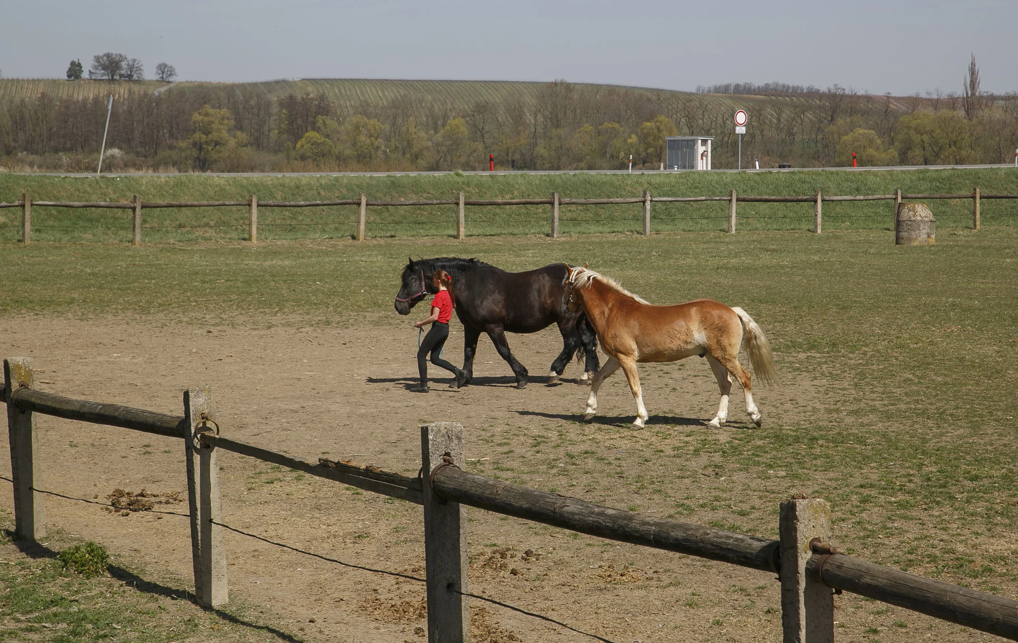 Pobyt na farmě u Znojma: až 15 dní se snídaní či polopenzí i projížďkou v koňském sedle nebo kočáře