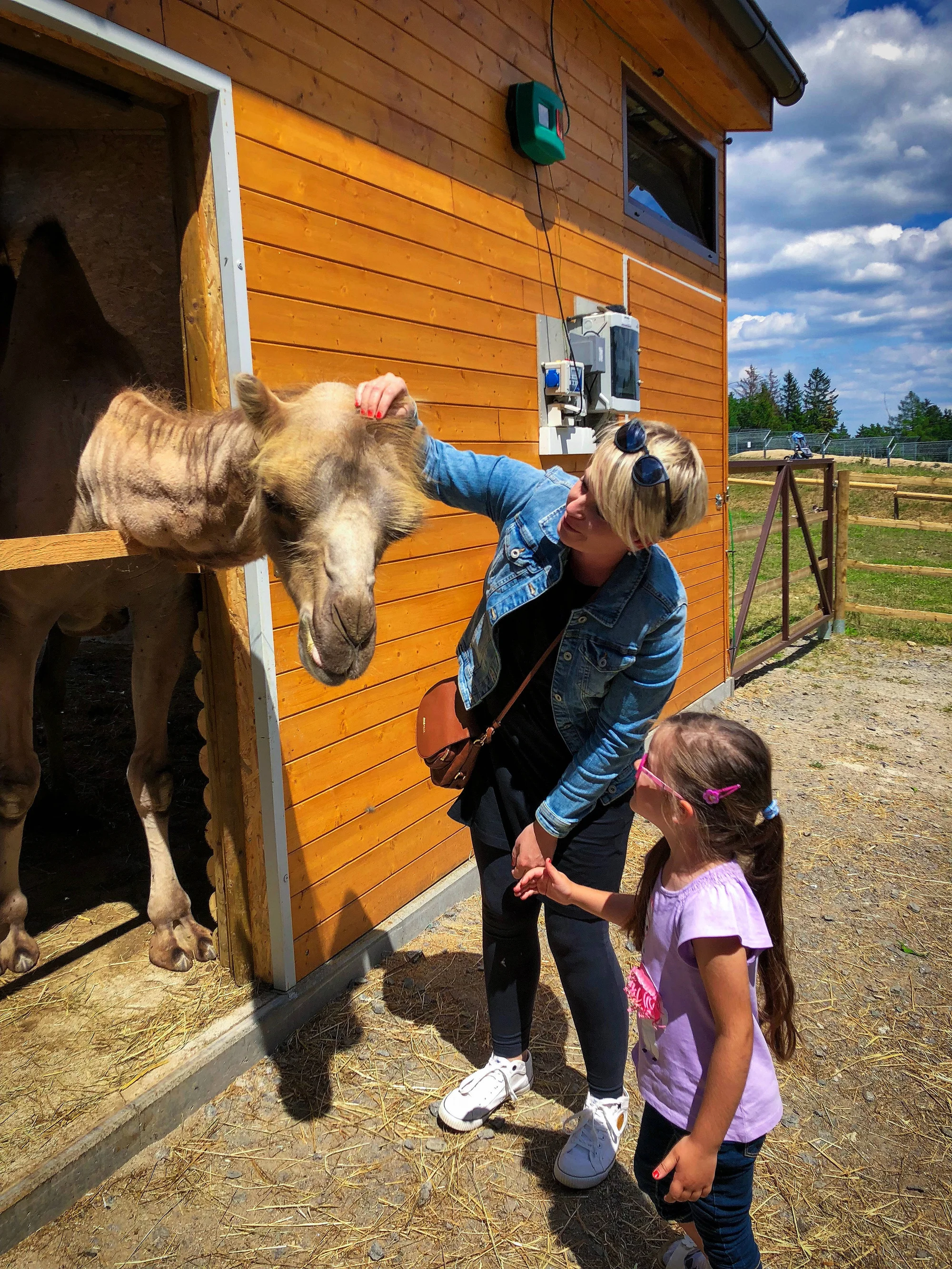 Zvířátka od ar po zubry: vstupné do zoologické zahrady v Táboře