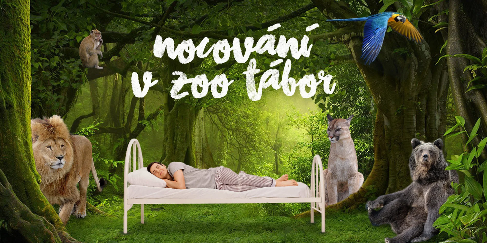 Nocování v ZOO Tábor mezi exotickými zvířaty