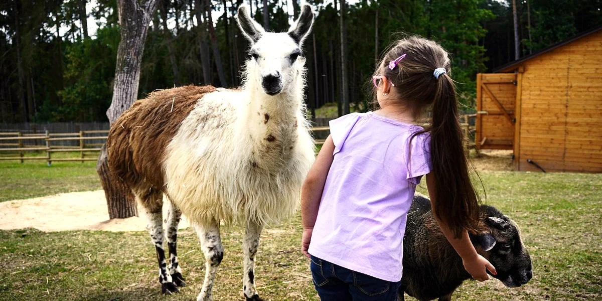 S rodinou za zážitky: pobyt v táborské zoo, vstupenky i péče o zvířátka