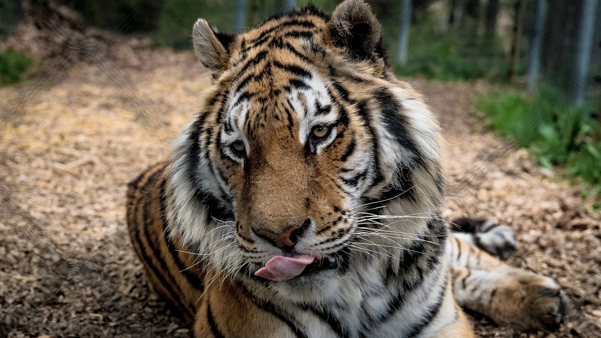S rodinou za zážitky: pobyt v táborské zoo, vstupenky i péče o zvířátka