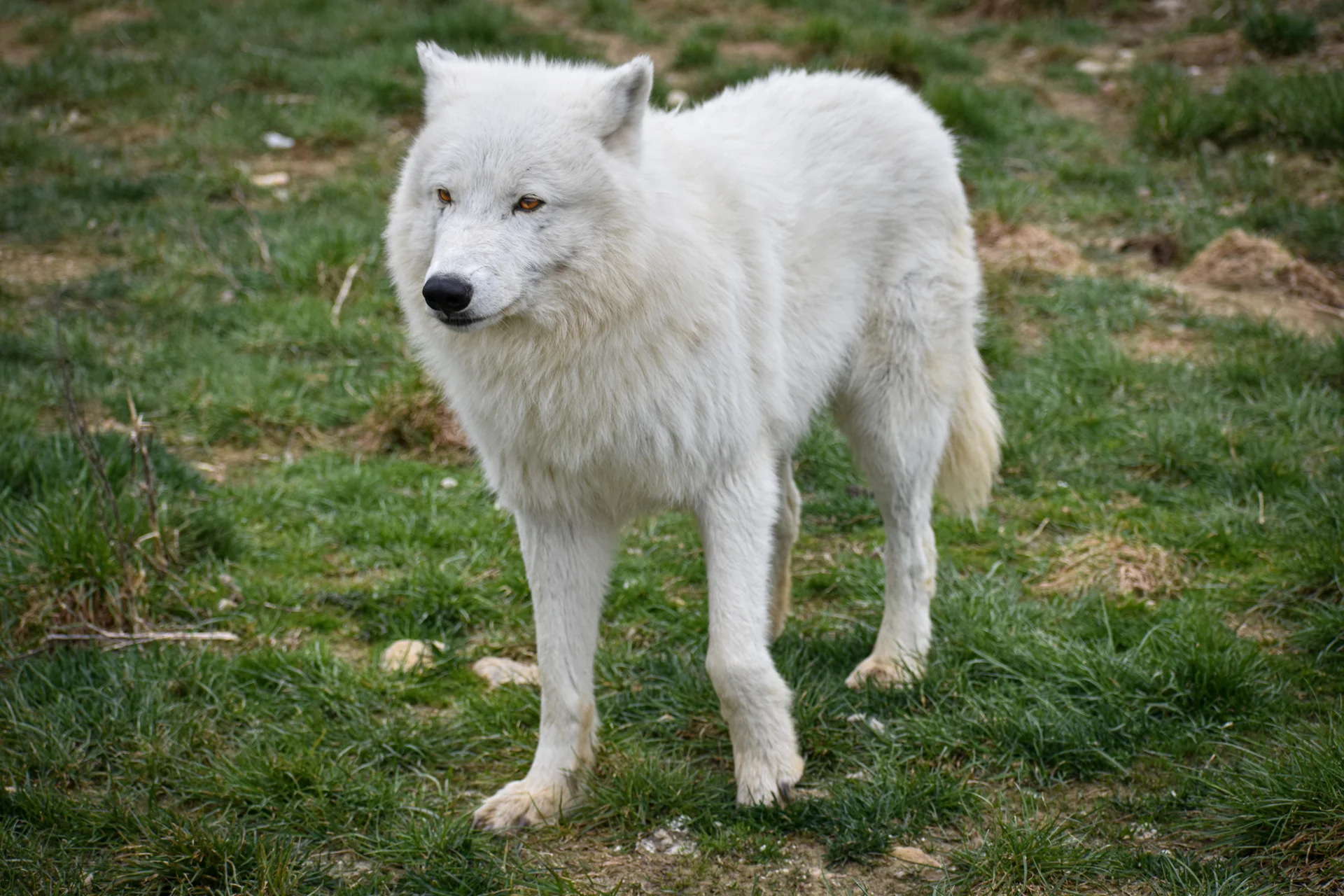 Zvířátka od ar po zubry: vstupné do zoologické zahrady v Táboře