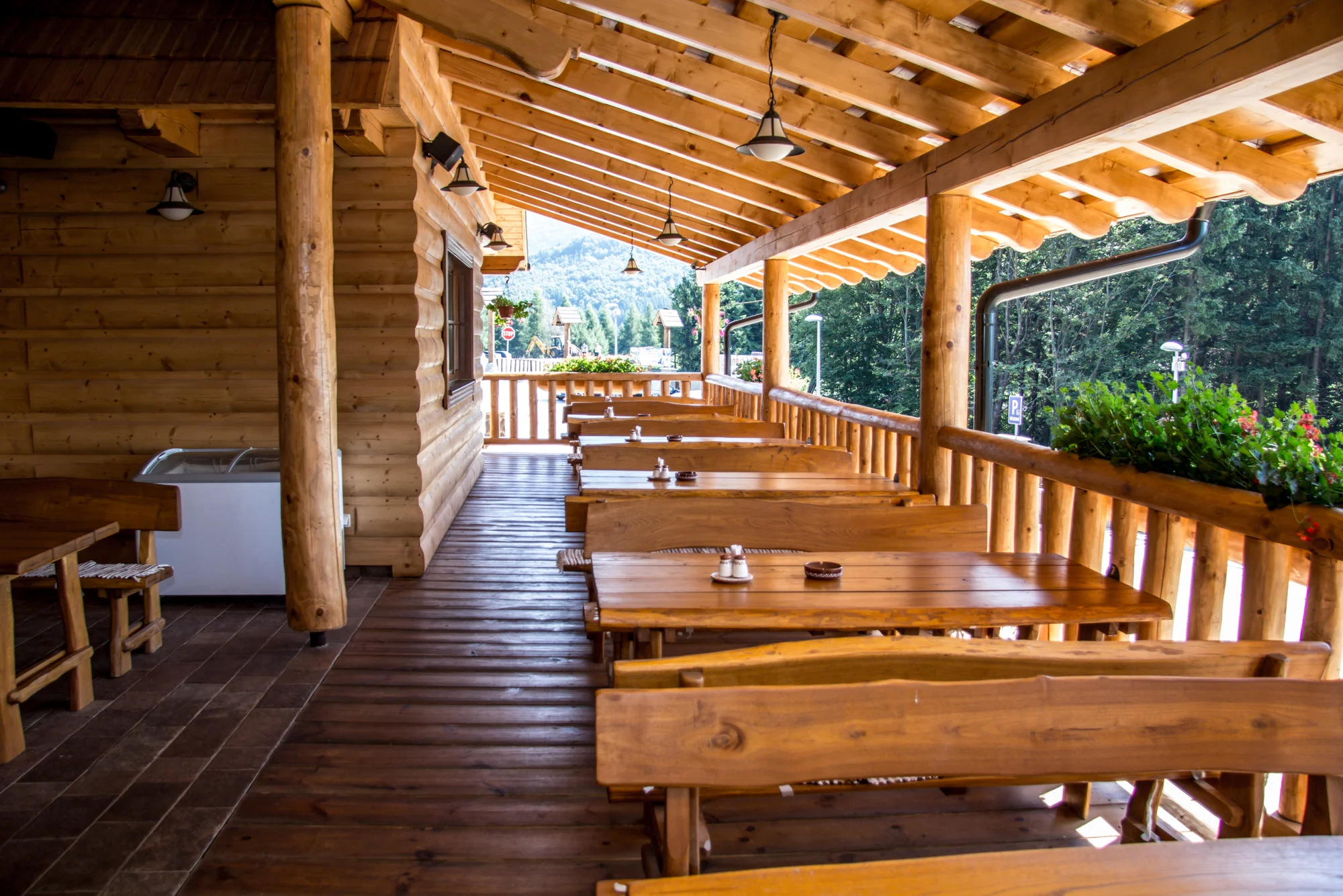 Exkluzivní dovolená v Malé Fatře: pobyt v komfortních apartmánech nebo na chatě Alpina