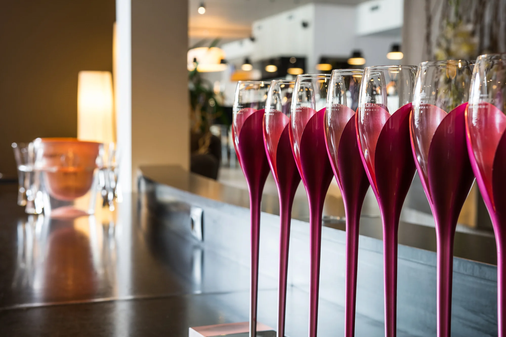 Pětichodové degustační menu se steakem, chobotnicí či jelenem i s možností wellness pro 2 osoby