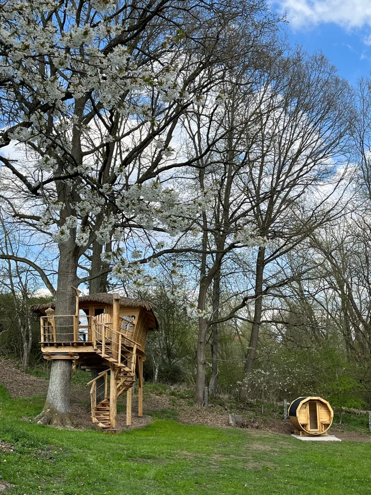 Pobyt se snídaní až pro 4 osoby v plně vybaveném treehousu na jihu Čech: žádné Wi-Fi, jen božský klid a sauna