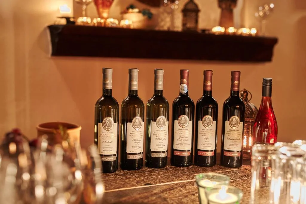 Pobyt mezi vinicemi na jižní Moravě se snídaní či polopenzí, v létě venkovní bazén
