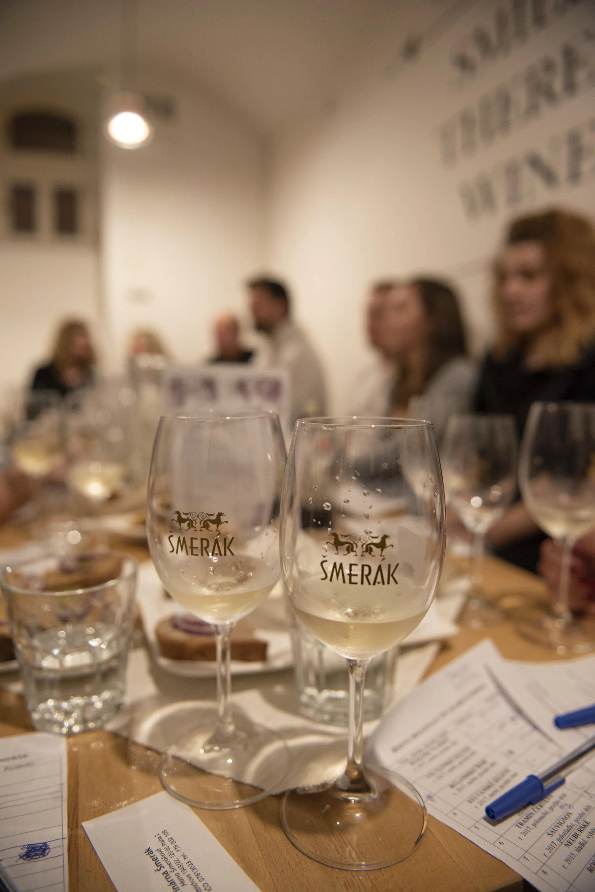 Posezení ve vinárně: 0,5 l vína z rodinného vinařství a degustační sýrovo-salámový talíř