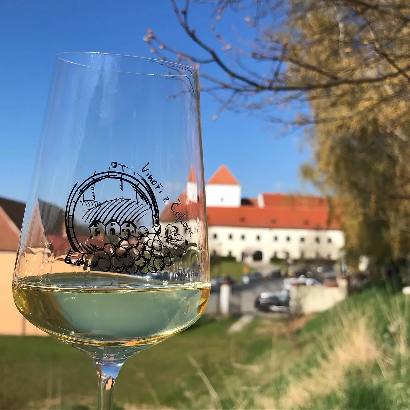 Pobyt v království vína: 1–3 noci na zámku Čejkovice s polopenzí a prohlídkou zámku