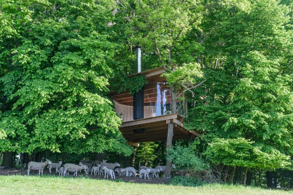 Romantika s výhledem na ovčí pastvu: treehouse s krásným krbem jen pro vás dva