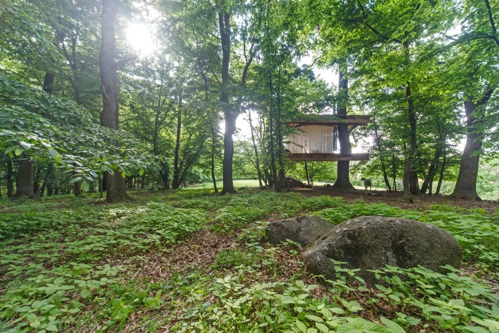 Romantika s výhledem na ovčí pastvu: treehouse s krásným krbem jen pro vás dva