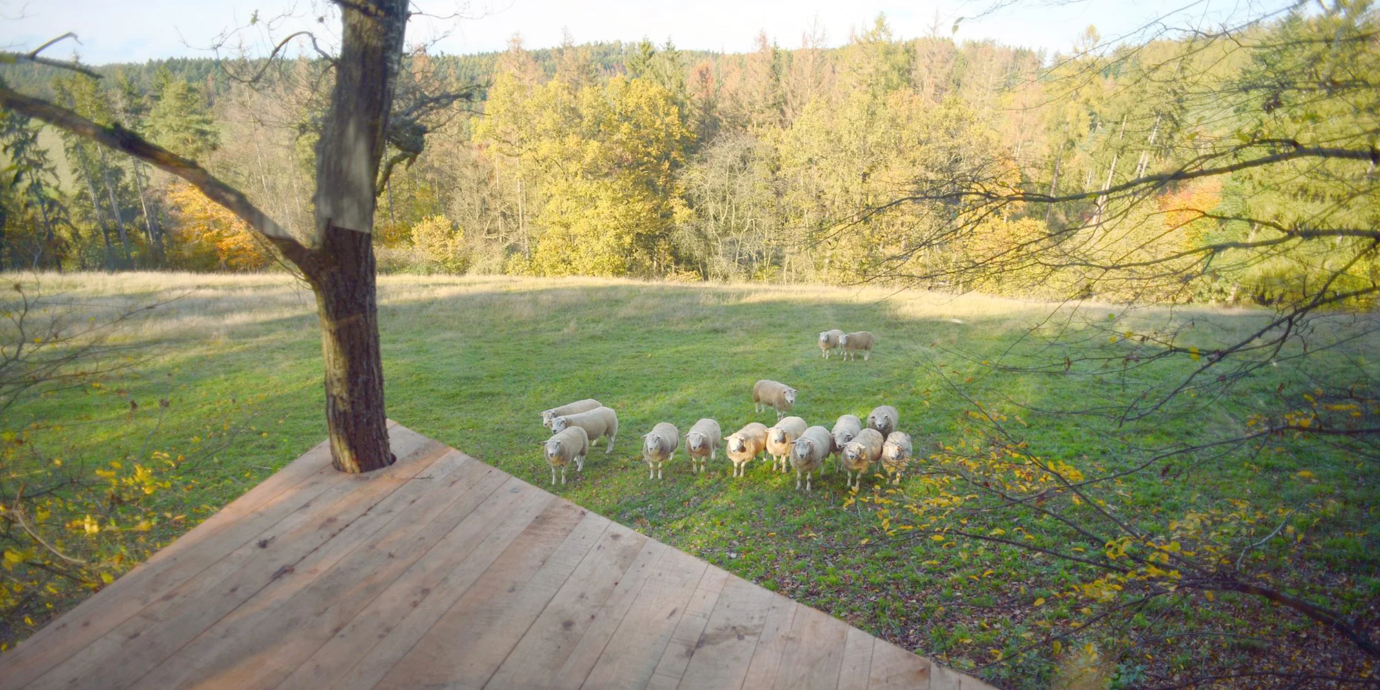 Romantika s výhledem na ovčí pastvu: treehouse s krásným krbem jen pro vás dva