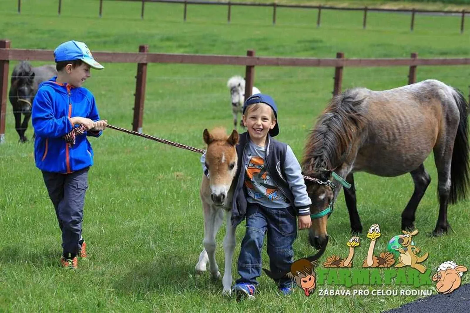 Letní rodinná dovolená: polopenze, animační program i vstup do Farmaparku Soběhrdy