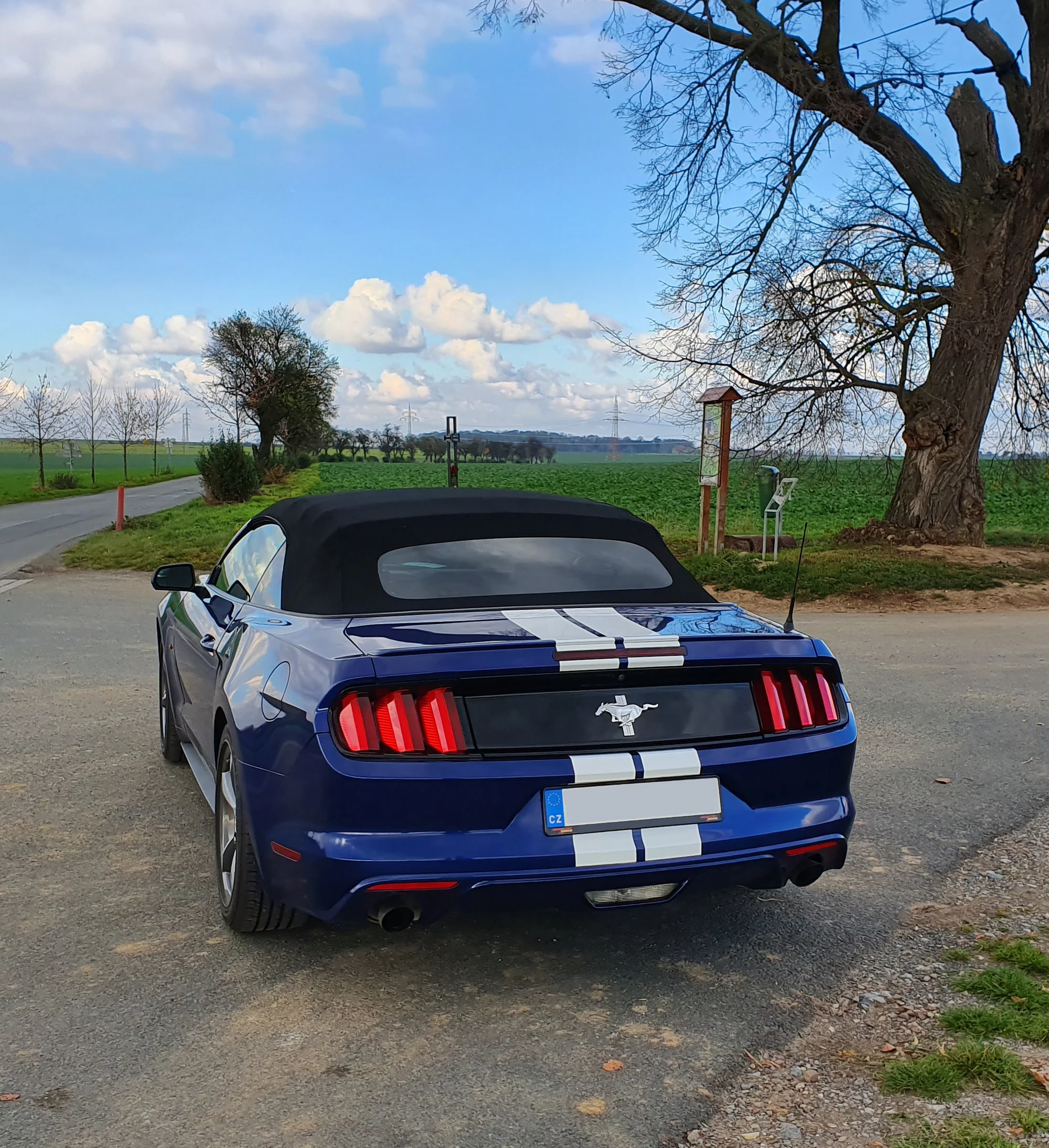 Nadupaný Ford Mustang Cabrio: zapůjčení na 15–60 minut nebo až celý den