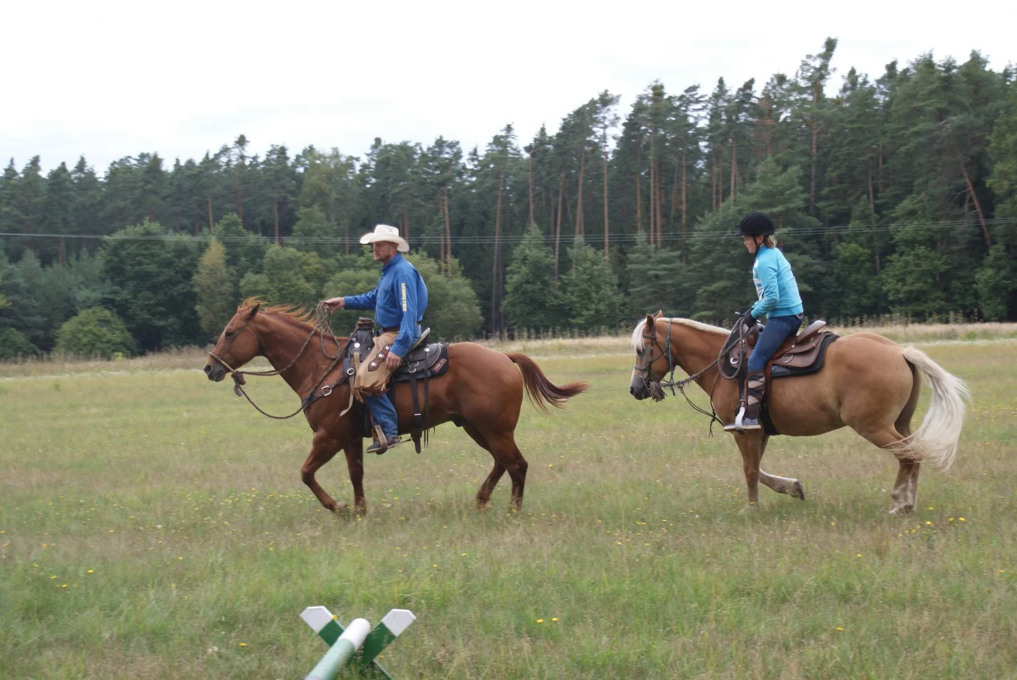 Pohlédněte na svět z koňského hřbetu: vyjížďka v přírodě pro 1 nebo 2 osoby