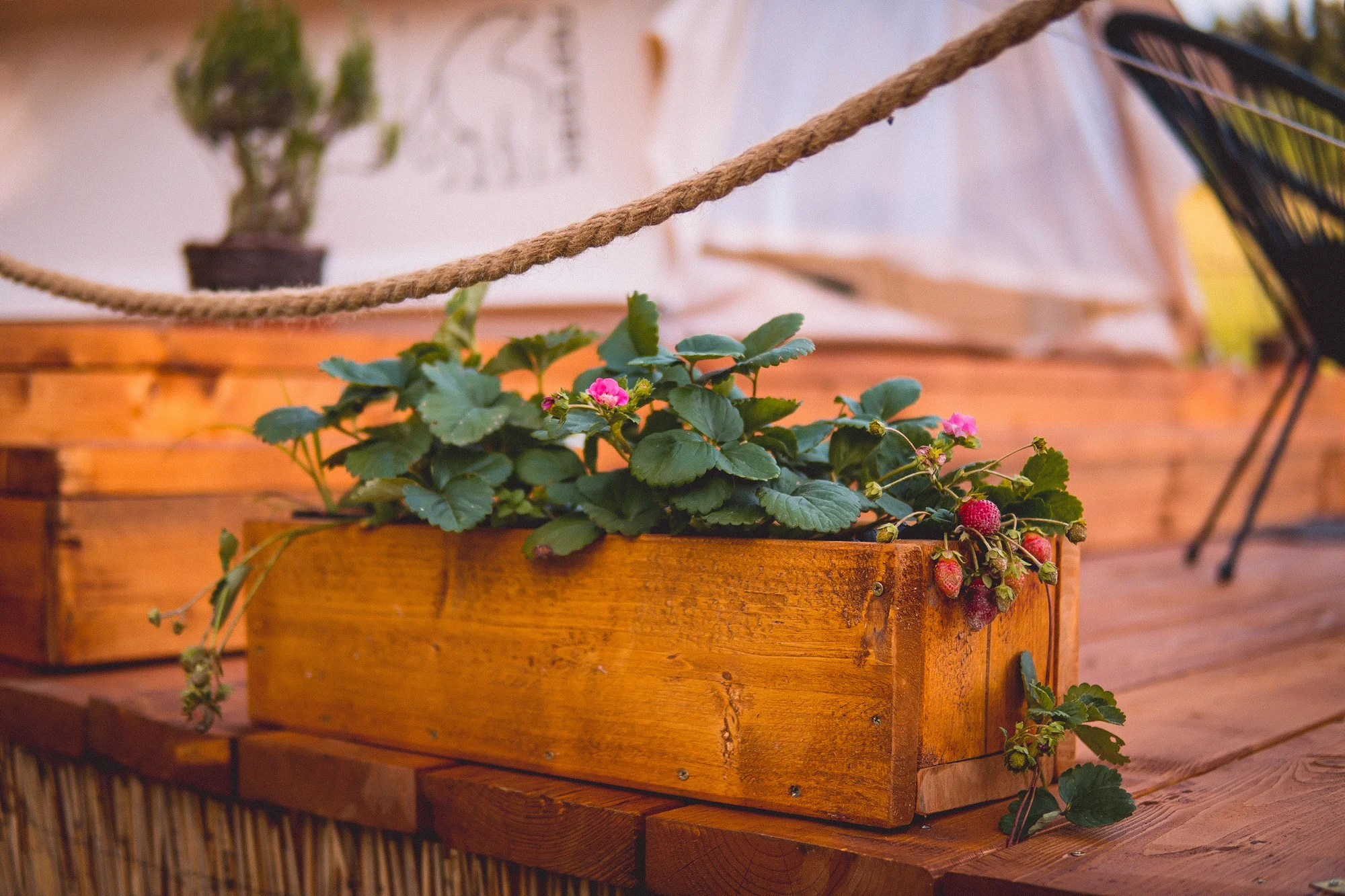 Glamping na pomezí Orlických hor a Králického Sněžníku: moderní stan s terasou, grilem i snídaní