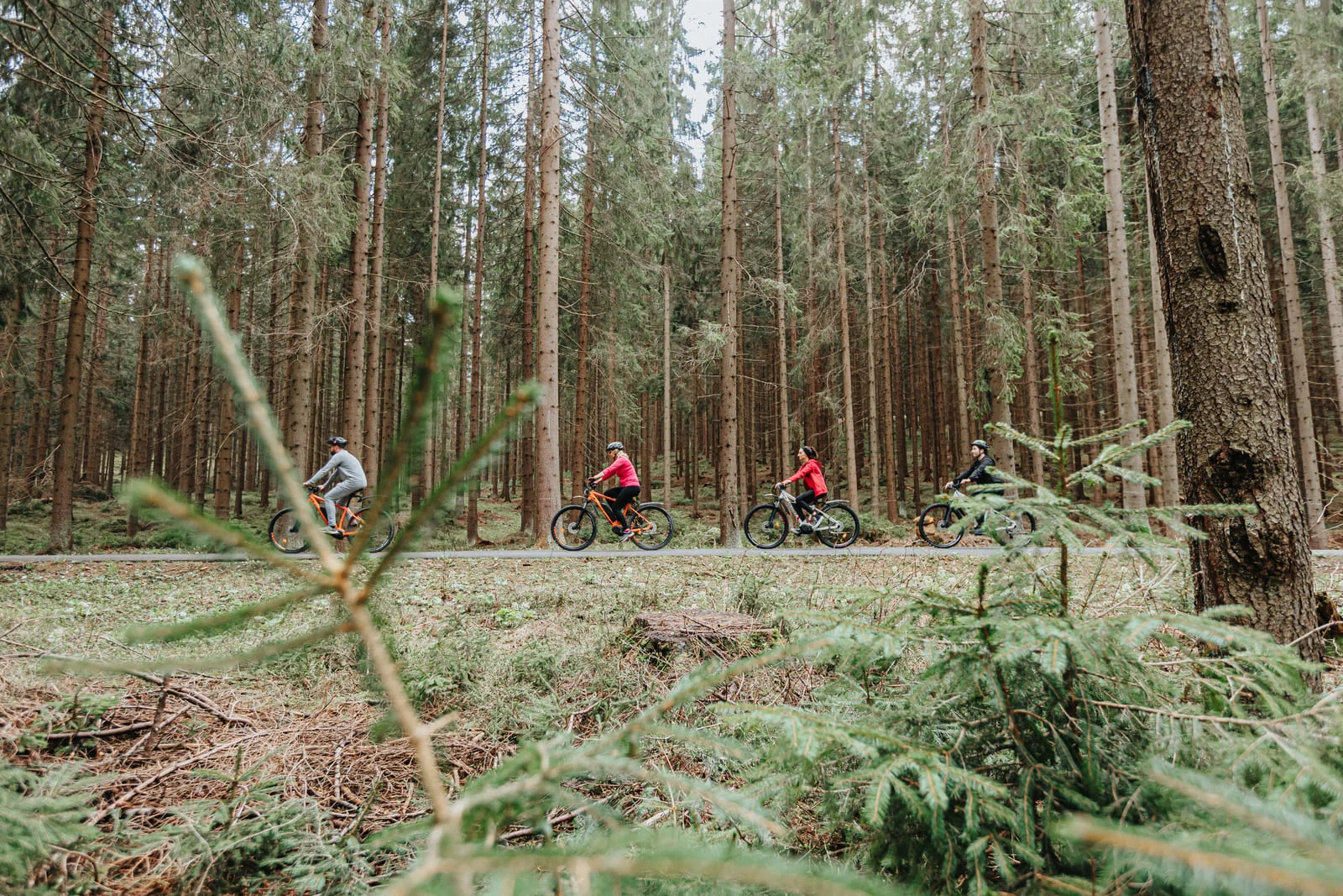 Dovolená na Slovensku v rodinném penzionu: polopenze i balíčky s wellness