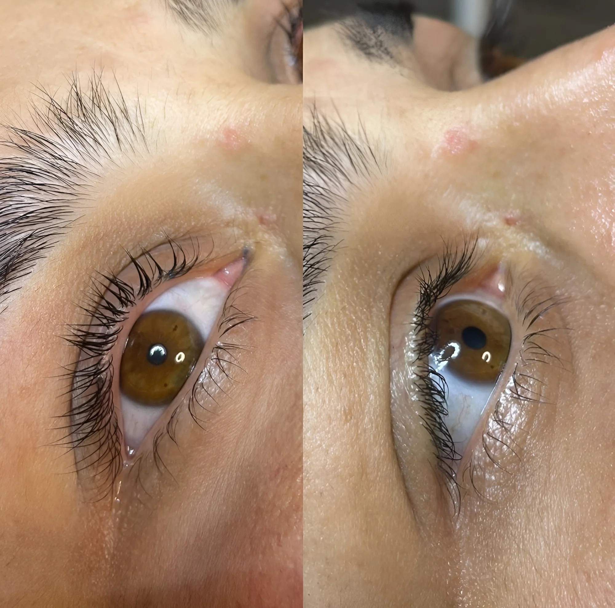 Úprava a barevní obočí, lash lifting nebo laminace obočí vč. barvení a výživy