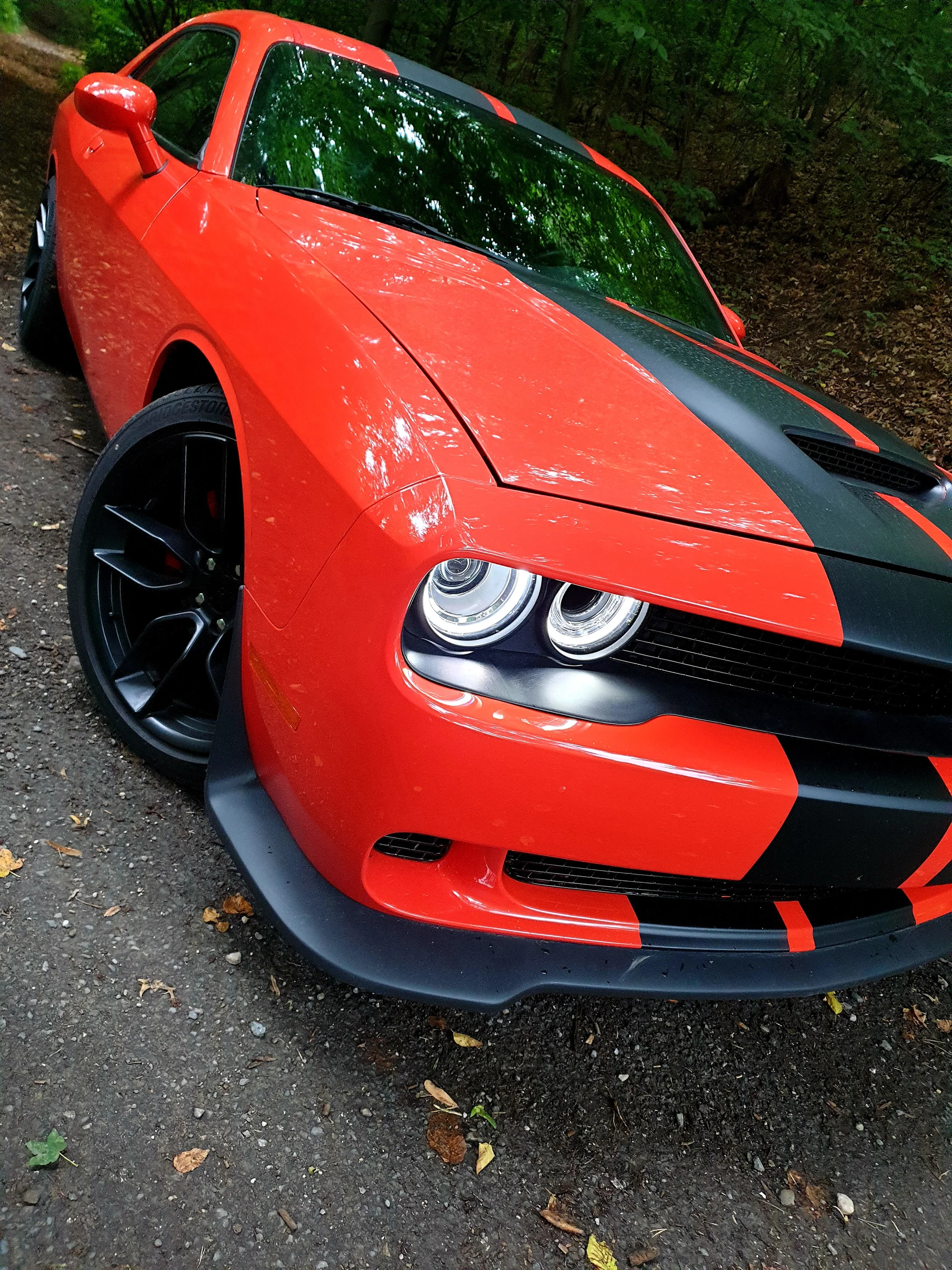 Dodge Challenger V8 HEMI: 15 min. spolujízdy nebo až 12 hod. řízení