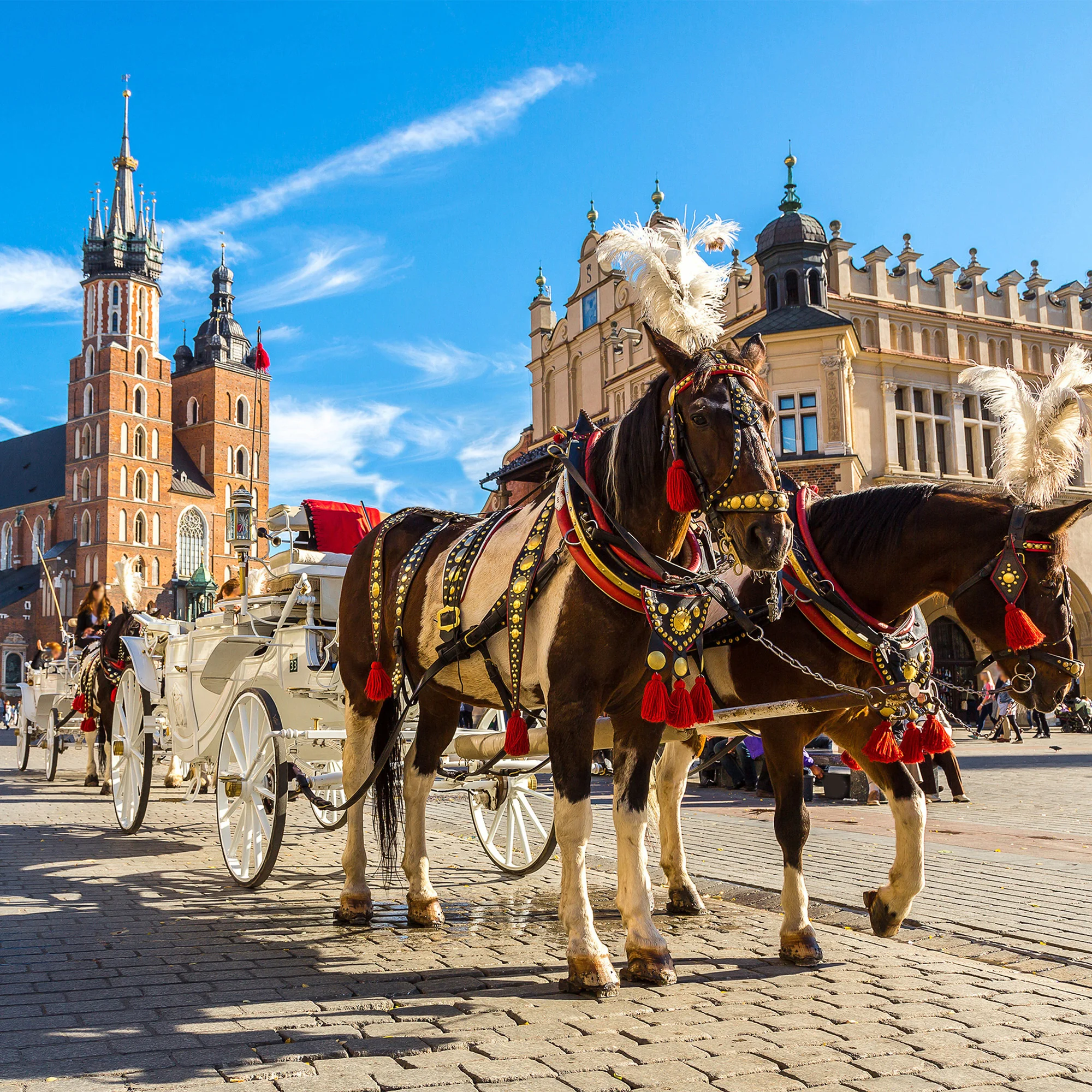 Poznávací zájezd do Krakova, Osvětimi i Schindlerovy továrny: doprava busem, noc v hotelu i snídaně