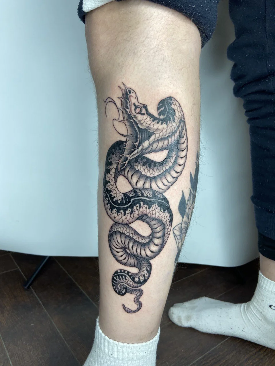 1 500 či 3 500 Kč na cokoliv v tetovacím studiu Vean Tattoo: piercingy, náušnice, šperky, tetování, prostředky na hojení