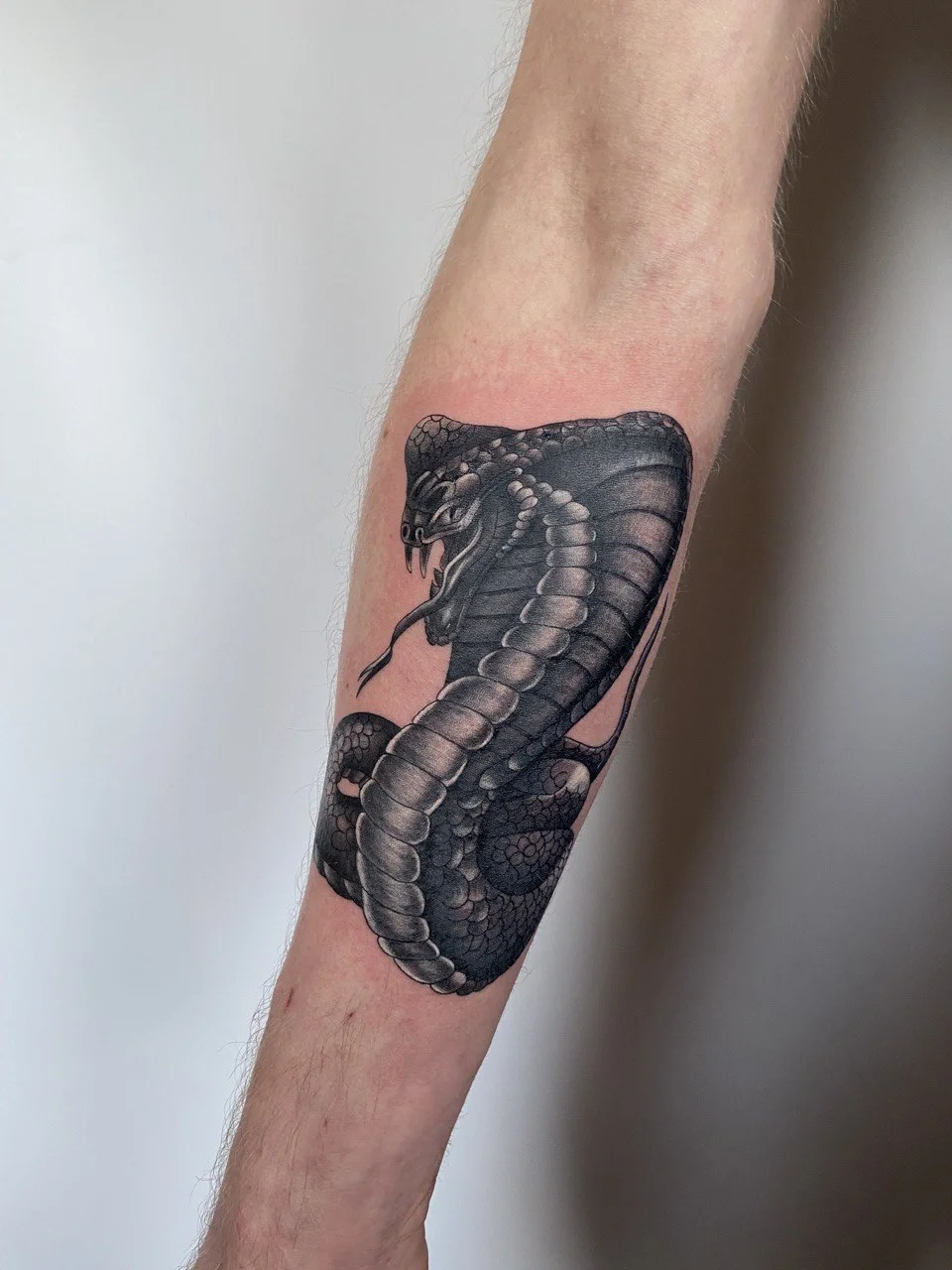 1 500 či 3 500 Kč na cokoliv v tetovacím studiu Vean Tattoo: piercingy, náušnice, šperky, tetování, prostředky na hojení