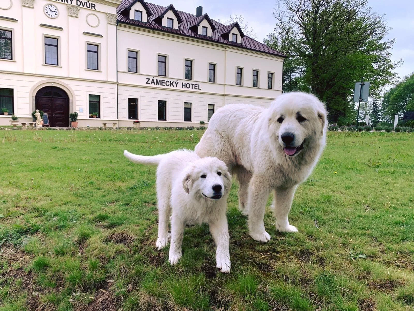 Zámek v Kynšperku: polopenze, neomezený wellness, u delších pobytů piknikový koš a další výhody