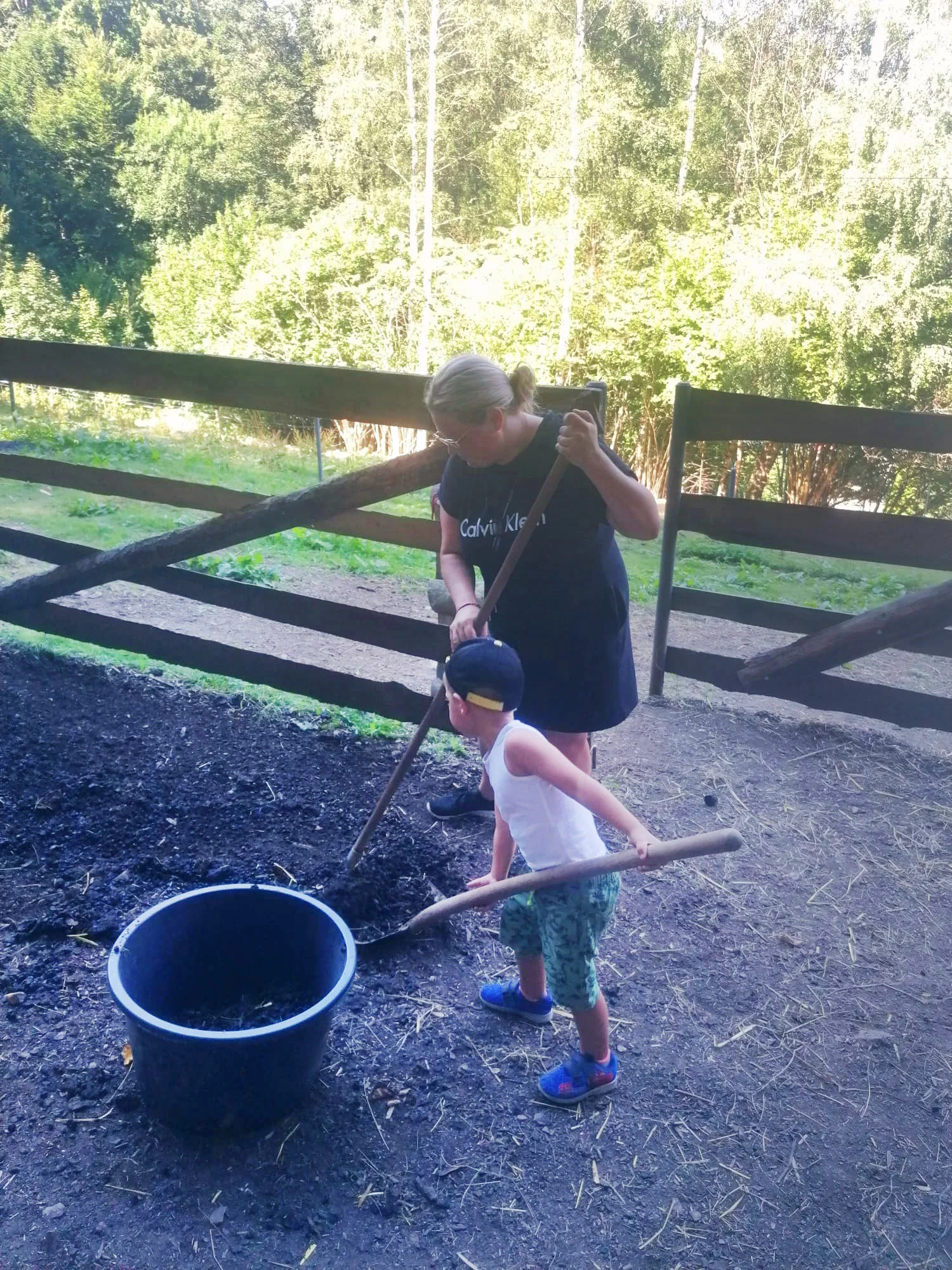 Ošetřovatelem velbloudů a lam ve dvou: procházka a krmení i práce ve stáji