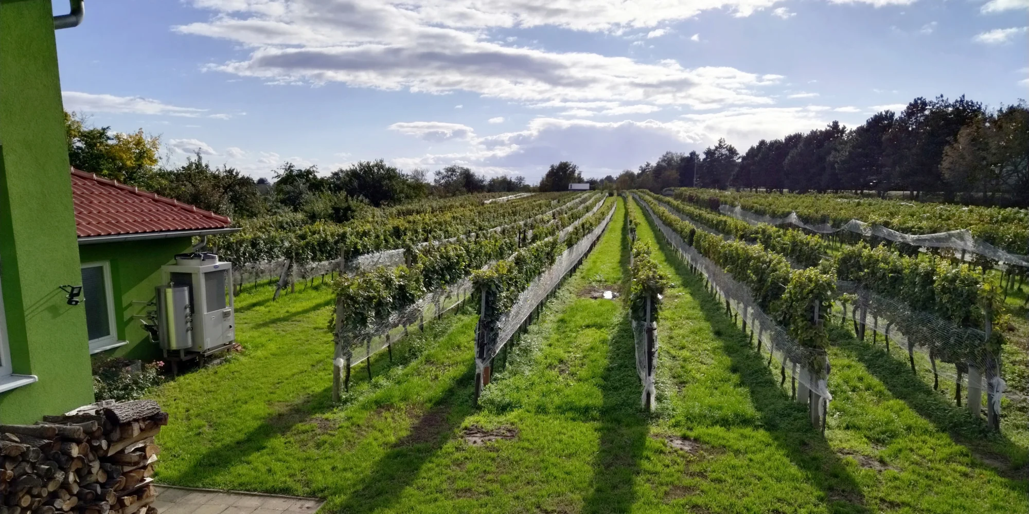 Pobyt v penzionu rodinného vinařství pro páry i skupiny vč. vína nebo degustace
