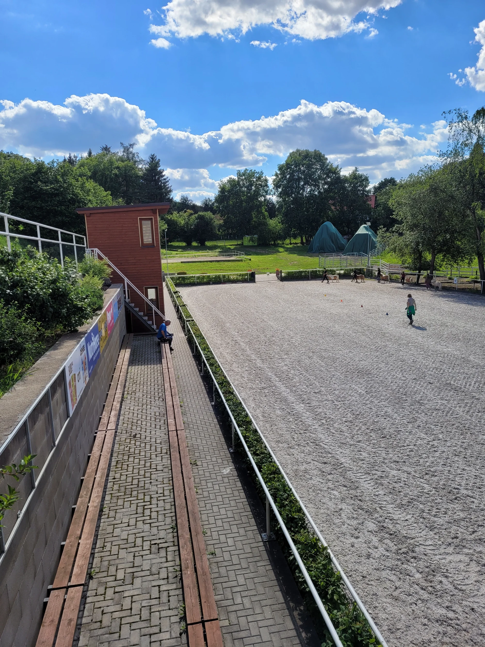 Odpoledne s minikoněm Falabella v Pošembeří: čištění a nastrojení, vycházka, pomazlení i mrkvová hostina