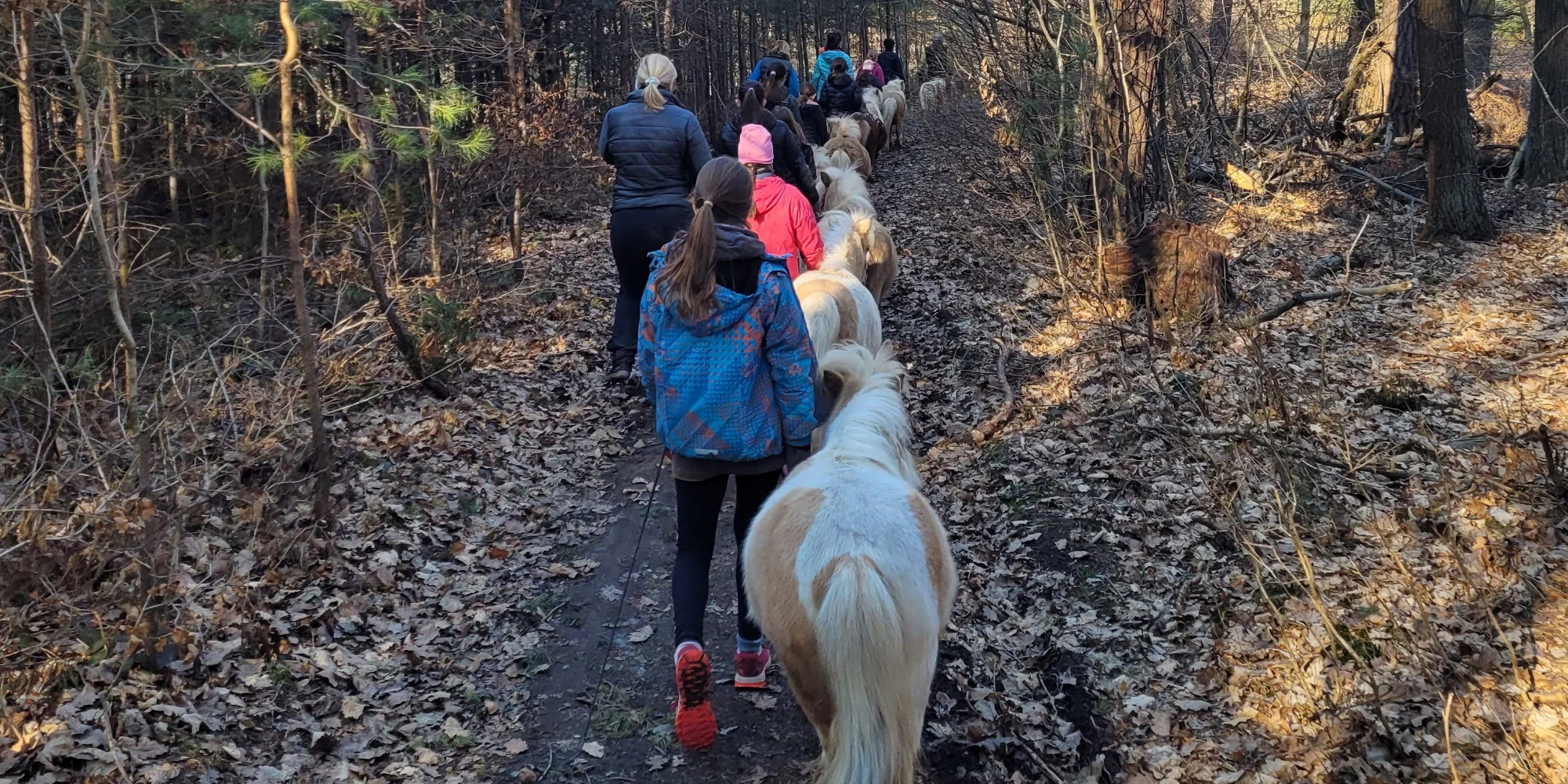 Odpoledne s minikoněm falabella v Pošembeří: čištění a nastrojení, vycházka, pomazlení i mrkvová hostina