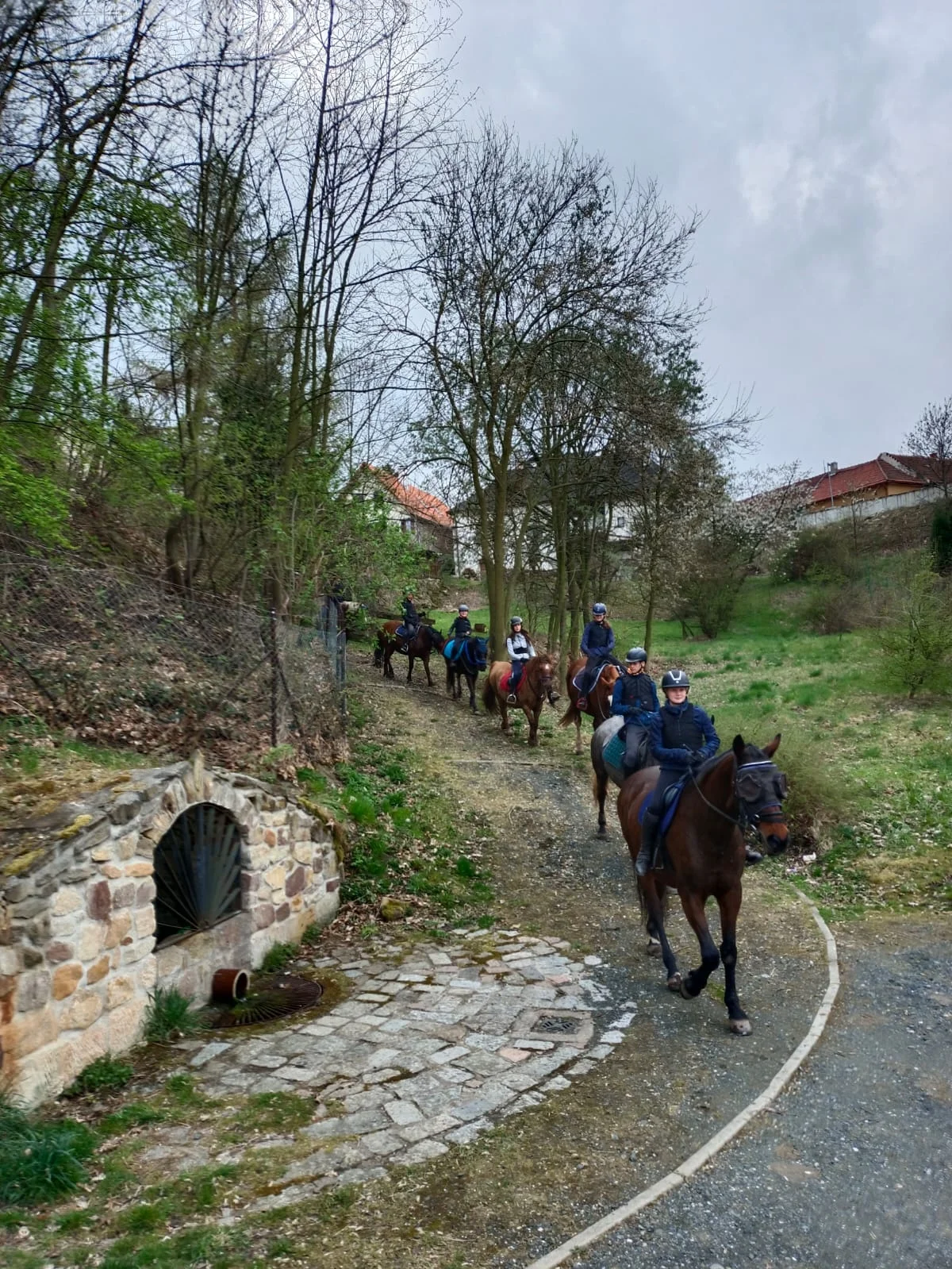Celodenní výlet na koni pro zkušené jezdce s obědem v restauraci