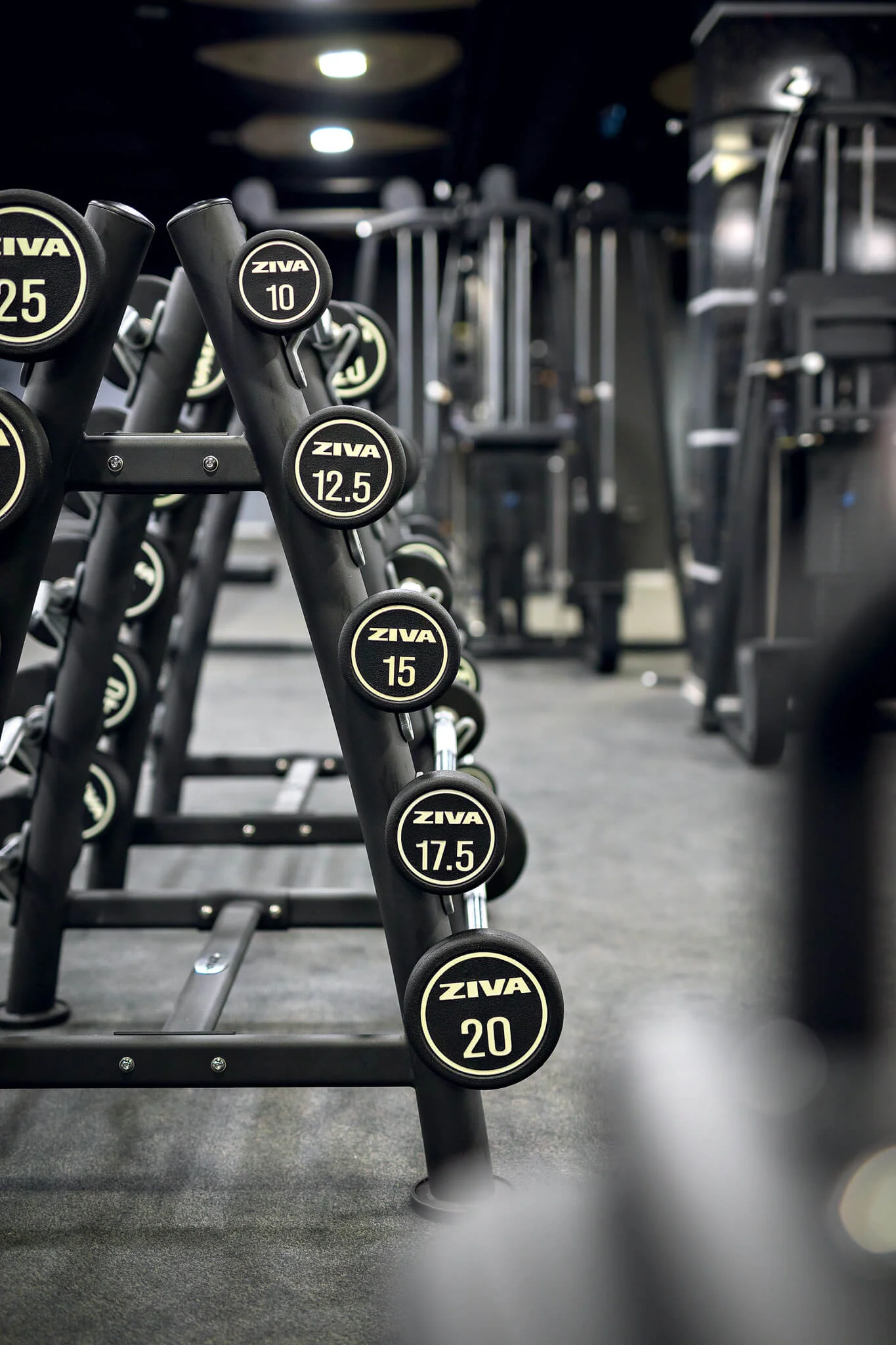 Jeden neomezený vstup do fitka a finské sauny na třinácti pobočkách Max fitness